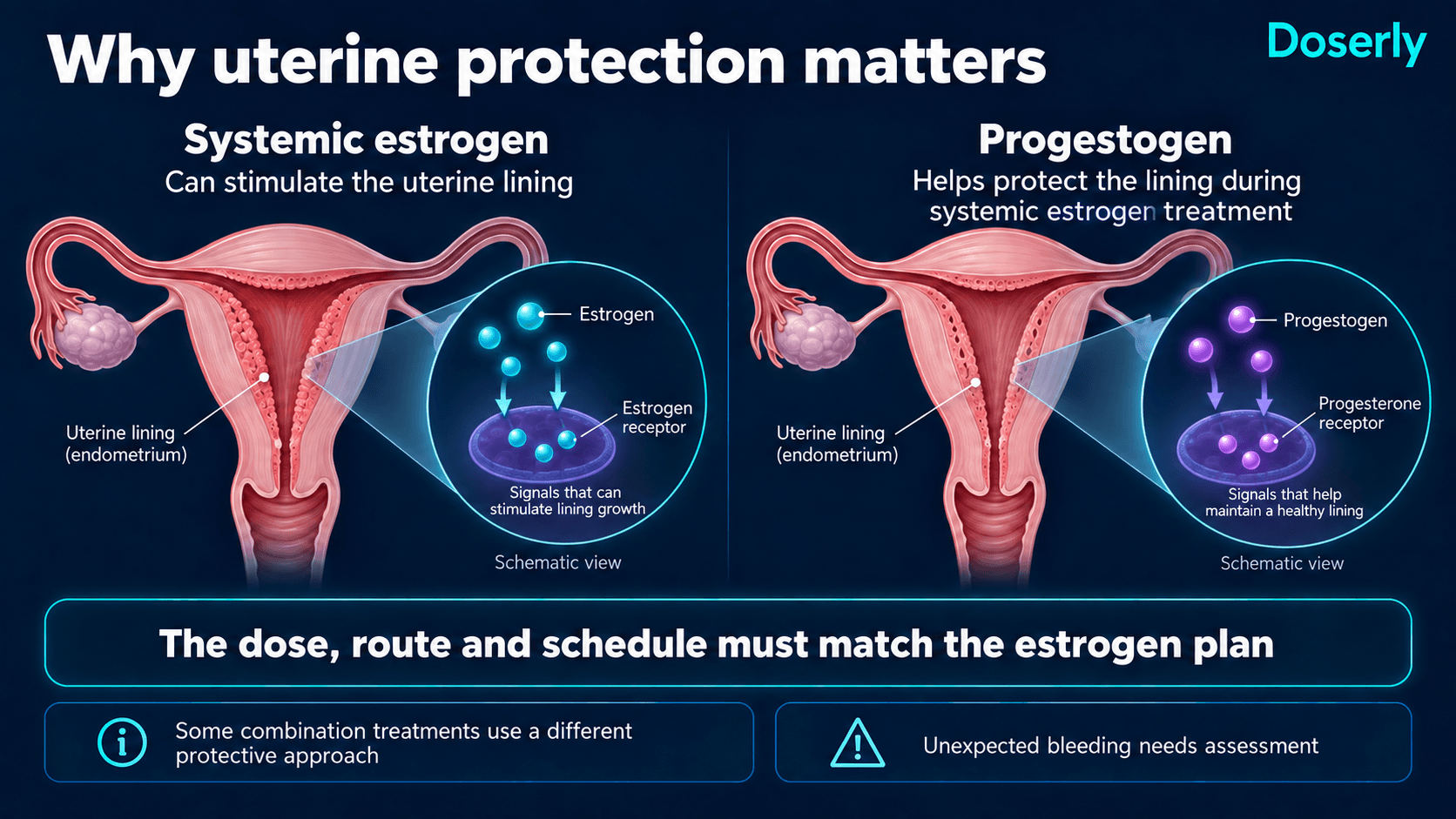 Schematic of estrogen stimulation of the uterine lining and the protective role of a correctly prescribed progestogen.