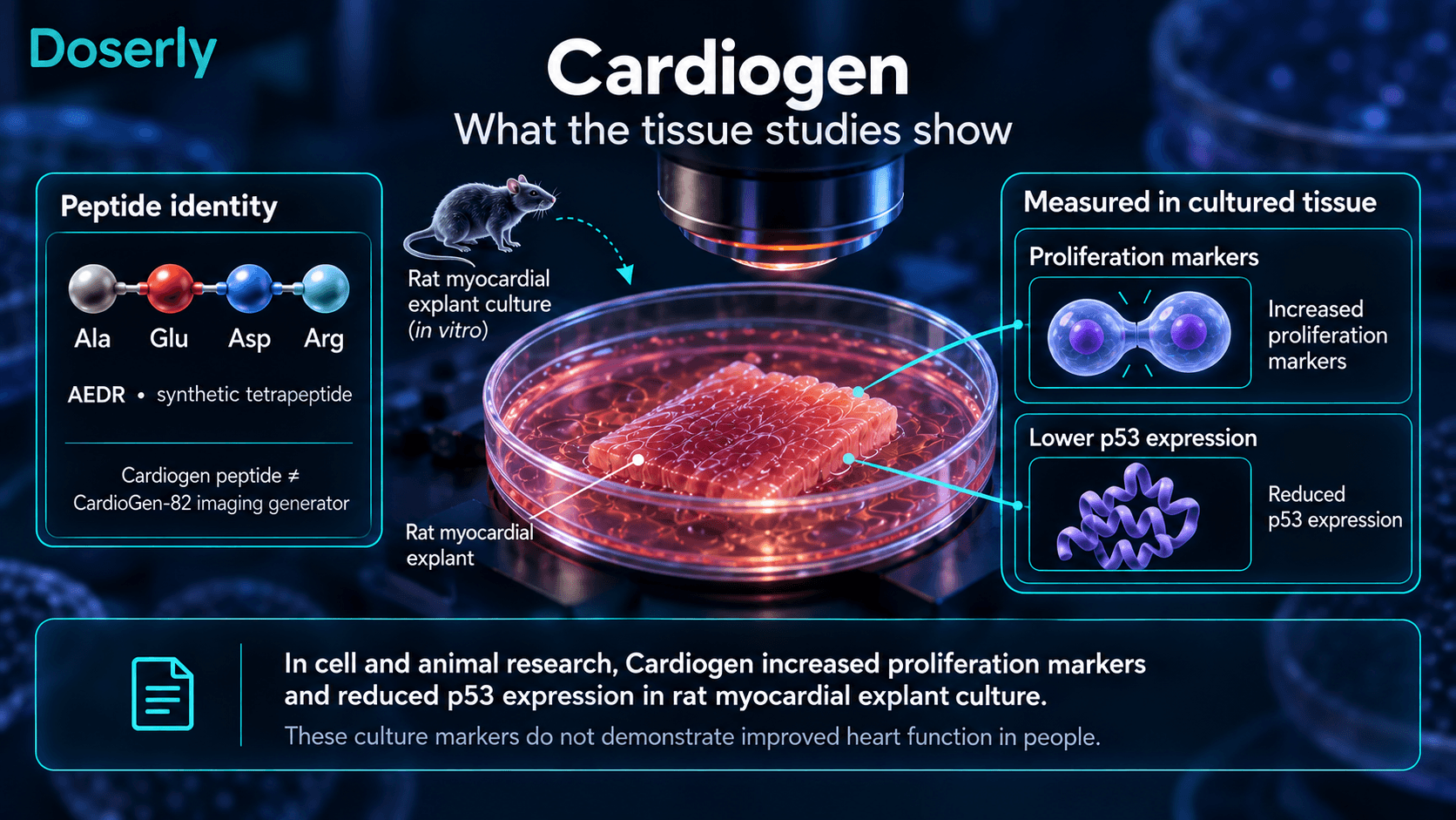 Tétrapeptide Cardiogen et résultats expérimentaux sur des tissus cardiaques de rat, sans bénéfice thérapeutique humain établi.