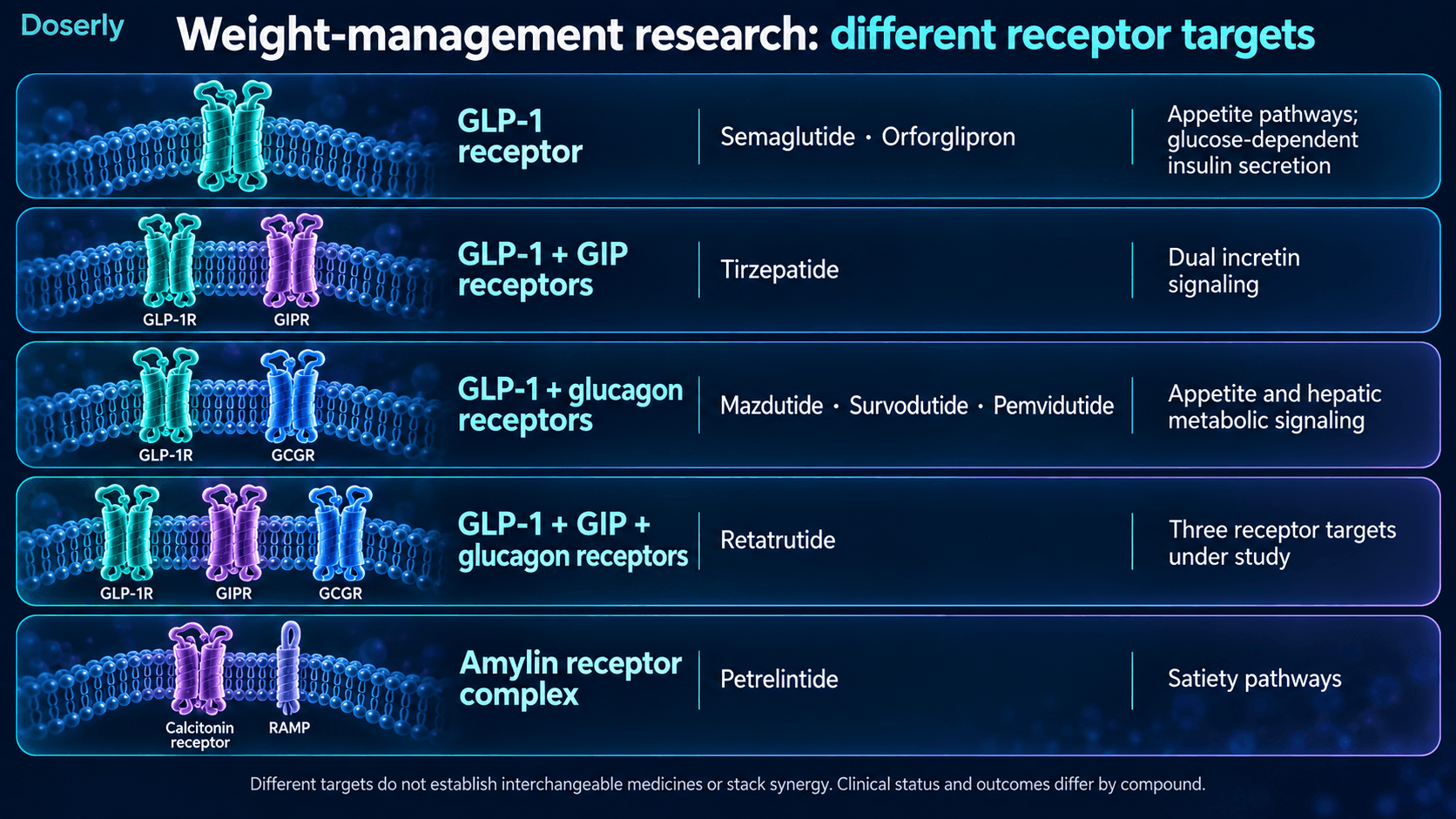 Comparaison des composés étudiés pour la gestion du poids selon leurs cibles : récepteurs du GLP-1, du GIP, du glucagon et de l’amyline.