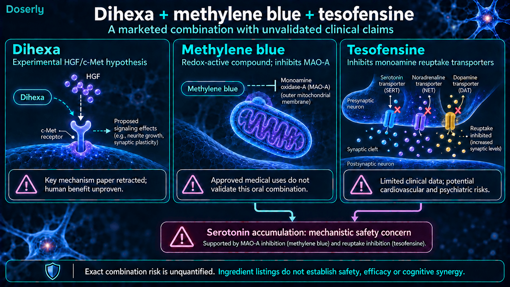 Mécanismes distincts et limites des données sur le dihexa, le bleu de méthylène et la tésofensine, dont une interaction potentielle liée à la sérotonine.