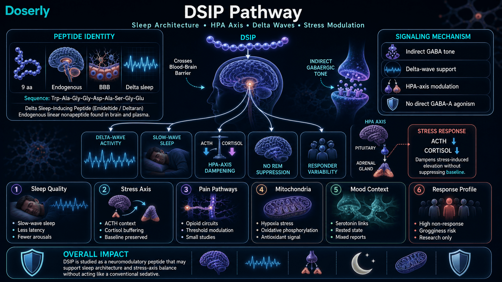 DSIP pathway infographic showing delta sleep-inducing peptide identity, central nervous system entry, indirect GABA tone, delta-wave and slow-wave sleep support, HPA-axis ACTH and cortisol modulation, no direct GABA-A agonism, pain pathway context, mitochondrial stress support, mood context, and responder variability.