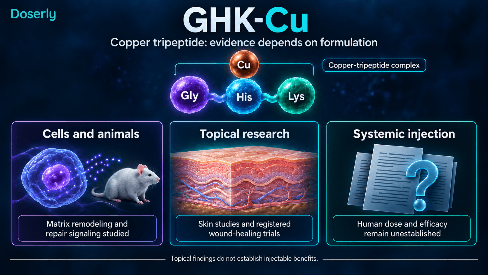 Tripeptide GHK-Cu lié au cuivre, avec des volets distincts sur les données cellulaires et animales, topiques et injectables.
