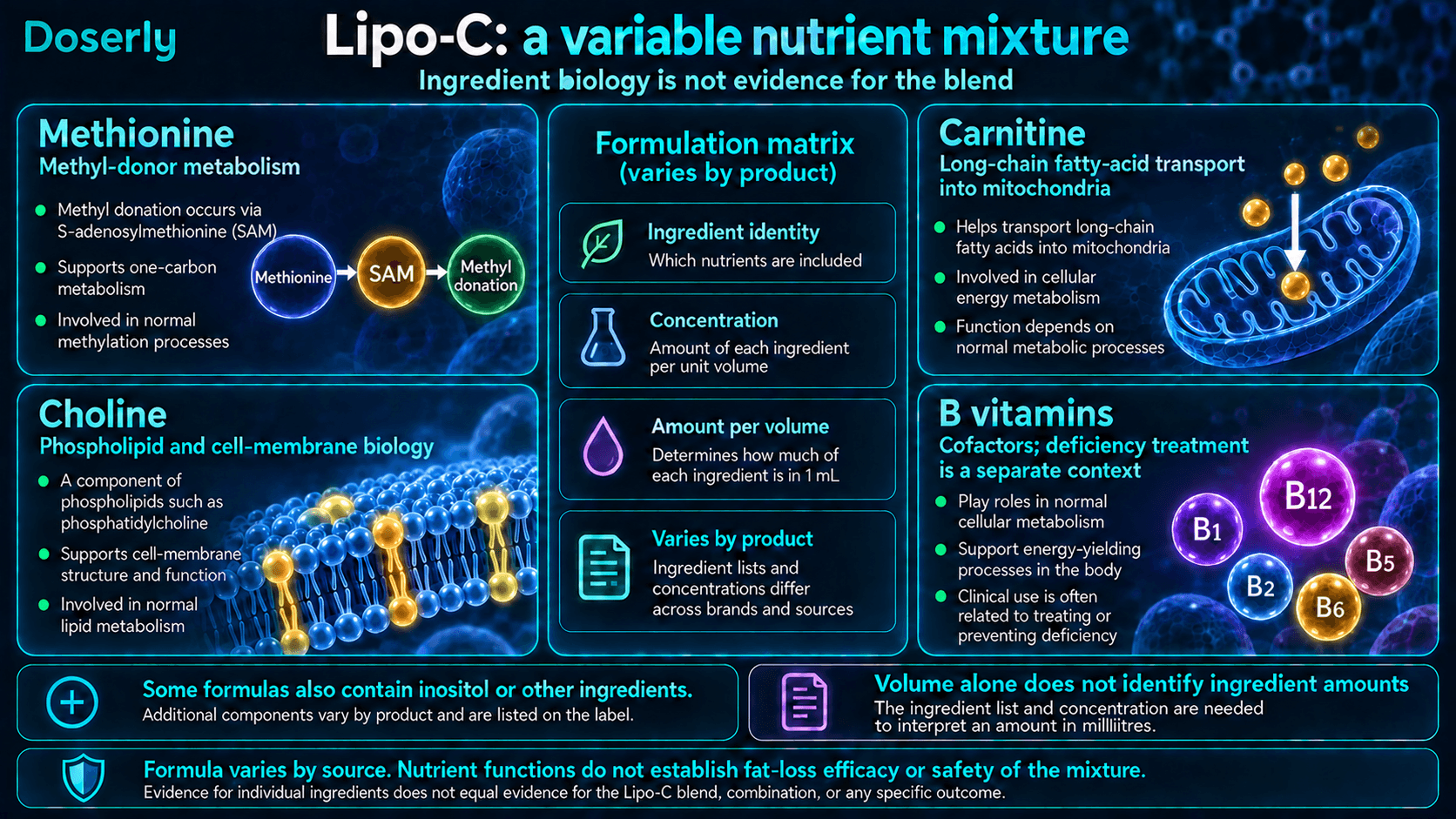 Variabilité des ingrédients Lipo-C et rôles distincts de la méthionine, de la choline, de la carnitine et des vitamines B, sans efficacité démontrée du mélange pour la perte de graisse.