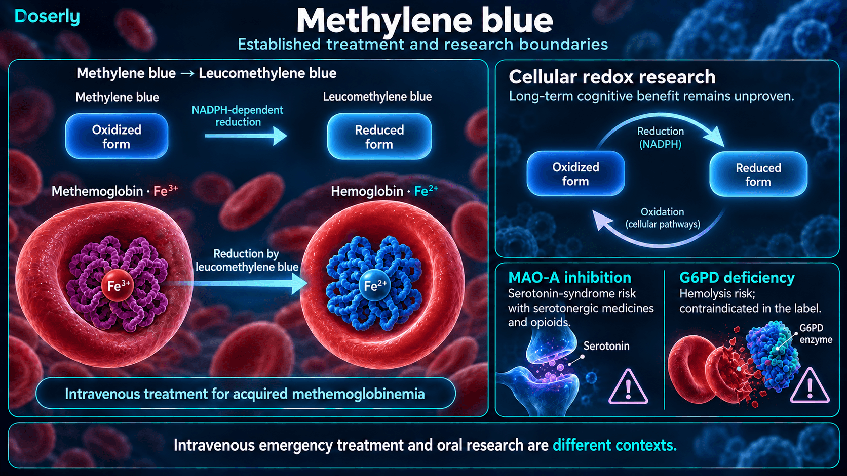 Réactions d’oxydoréduction du bleu de méthylène et réduction de la méthémoglobine, distinguées de la recherche cognitive et des risques d’interaction.