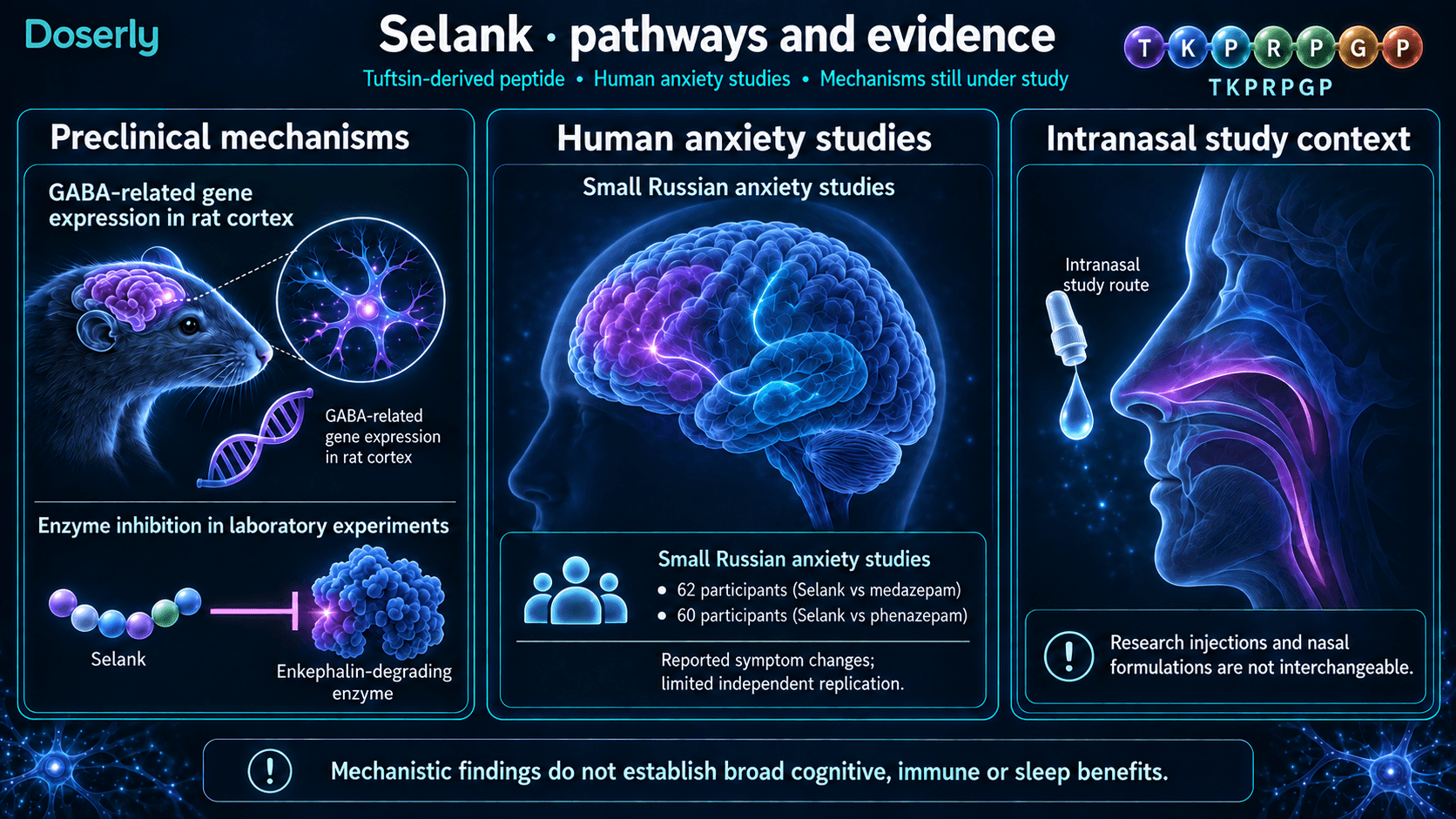 Résultats précliniques du Selank sur l’expression génique et les enzymes, petites études humaines sur l’anxiété et contexte distinct des formulations intranasales.