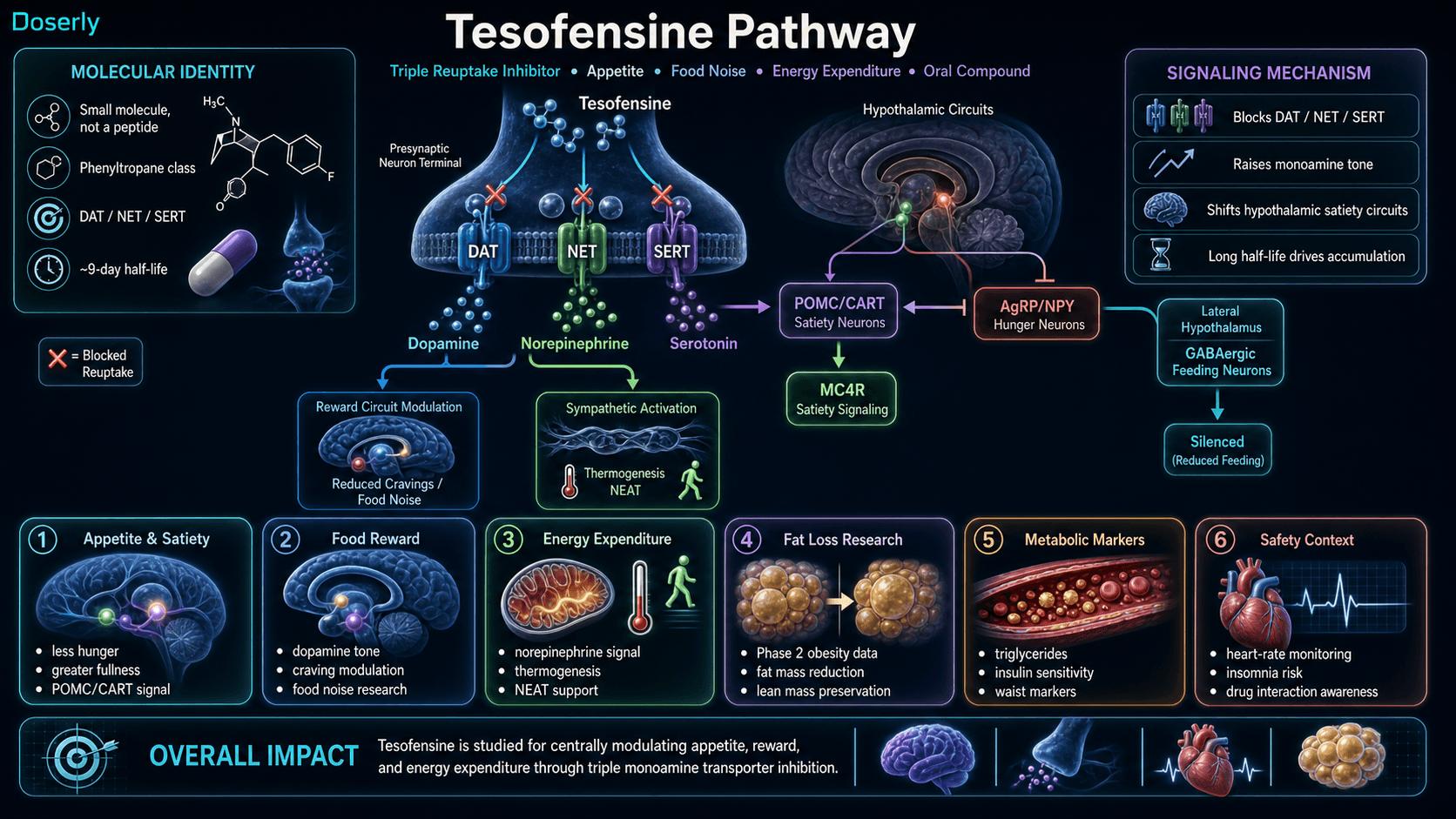 Tesofensine pathway infographic showing small-molecule non-peptide phenyltropane identity, oral compound context, DAT NET and SERT presynaptic monoamine transporter inhibition, increased dopamine norepinephrine and serotonin signaling, hypothalamic POMC CART satiety activation, AgRP NPY hunger suppression, MC4R signaling, lateral hypothalamus GABAergic feeding-neuron modulation, norepinephrine-driven thermogenesis and NEAT, appetite food reward fat-loss research, metabolic marker context, and heart-rate insomnia and drug-interaction monitoring considerations.