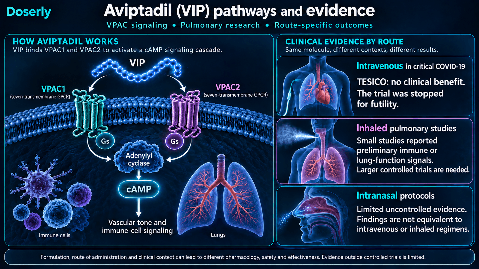 Signalisation des récepteurs du VIP par l’AMPc et résultats distincts des recherches par voies intraveineuse, inhalée et intranasale.