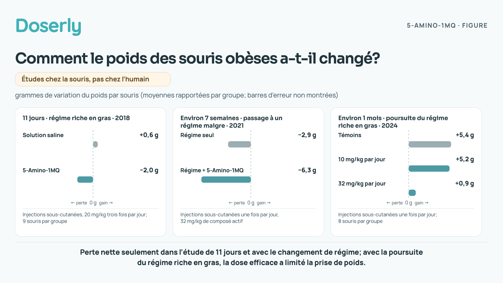 Diagramme à barres de la variation du poids dans trois expériences sur des souris obèses : étude de 11 jours (solution saline +0,6 g, traitement −2,0 g), changement de régime (régime seul −2,9 g, régime et traitement −6,3 g) et étude d’un mois avec poursuite du régime riche en gras (groupe témoin +5,4 g, dose faible +5,2 g, dose élevée +0,9 g). Données chez la souris seulement.