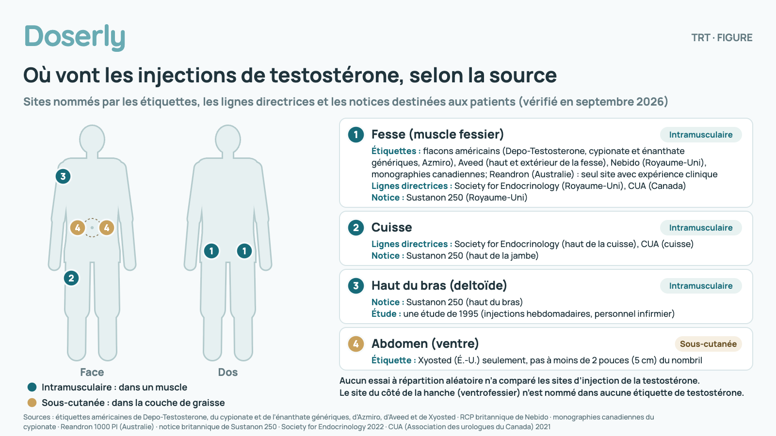 Contours du corps de face et de dos avec des sites d’injection numérotés, et ce que nomme chaque source. 1. Fesse (muscle fessier), intramusculaire : Étiquettes : flacons américains (Depo-Testosterone, cypionate et énanthate génériques, Azmiro), Aveed (haut et extérieur de la fesse), Nebido (Royaume-Uni), monographies canadiennes; Reandron (Australie) : seul site avec expérience clinique; Lignes directrices : Society for Endocrinology (Royaume-Uni), CUA (Canada); Notice : Sustanon 250 (Royaume-Uni). 2. Cuisse, intramusculaire : Lignes directrices : Society for Endocrinology (haut de la cuisse), CUA (cuisse); Notice : Sustanon 250 (haut de la jambe). 3. Haut du bras (deltoïde), intramusculaire : Notice : Sustanon 250 (haut du bras); Étude : une étude de 1995 (injections hebdomadaires, personnel infirmier). 4. Abdomen (ventre), sous-cutanée : Étiquette : Xyosted (É.-U.) seulement, pas à moins de 2 pouces (5 cm) du nombril. Aucun essai à répartition aléatoire n’a comparé les sites d’injection de la testostérone. Le site du côté de la hanche (ventrofessier) n’est nommé dans aucune étiquette de testostérone.