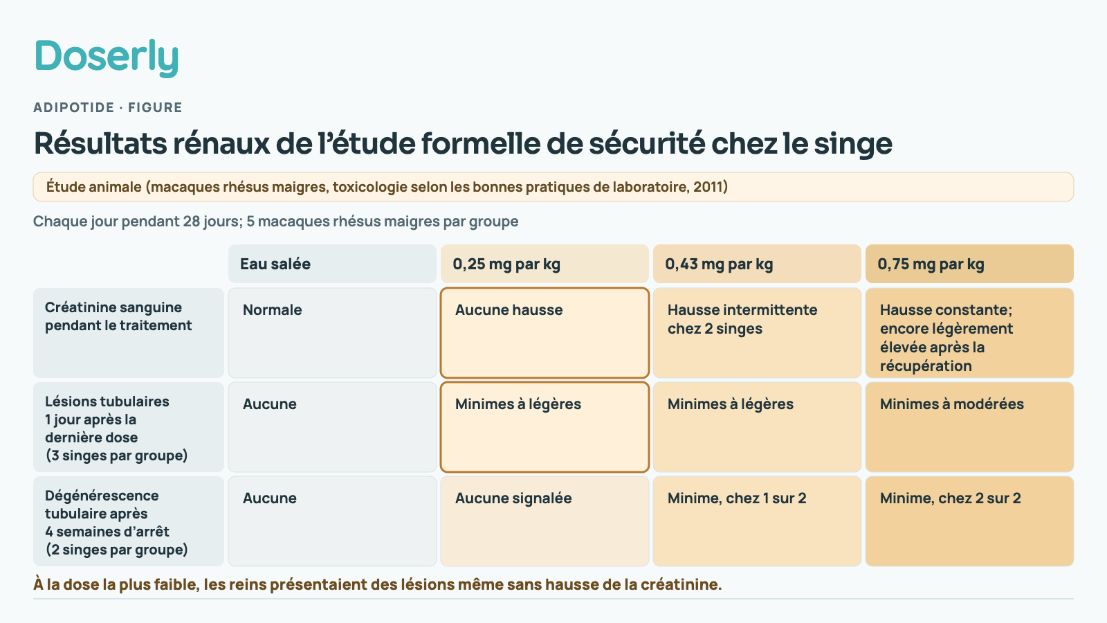 Tableau des résultats rénaux d’une étude de sécurité de 28 jours chez le singe. Eau salée : aucun changement. 0,25 mg par kg : la créatinine n’a pas augmenté, mais des lésions tubulaires minimes à légères étaient présentes un jour après la dernière dose. 0,43 mg par kg : hausse intermittente de la créatinine chez 2 singes; lésions minimes à légères; dégénérescence minime encore présente chez 1 des 2 singes examinés après 4 semaines sans traitement. 0,75 mg par kg : hausse constante de la créatinine, encore légèrement élevée; lésions minimes à modérées; dégénérescence minime encore présente chez les deux singes examinés après 4 semaines sans traitement.