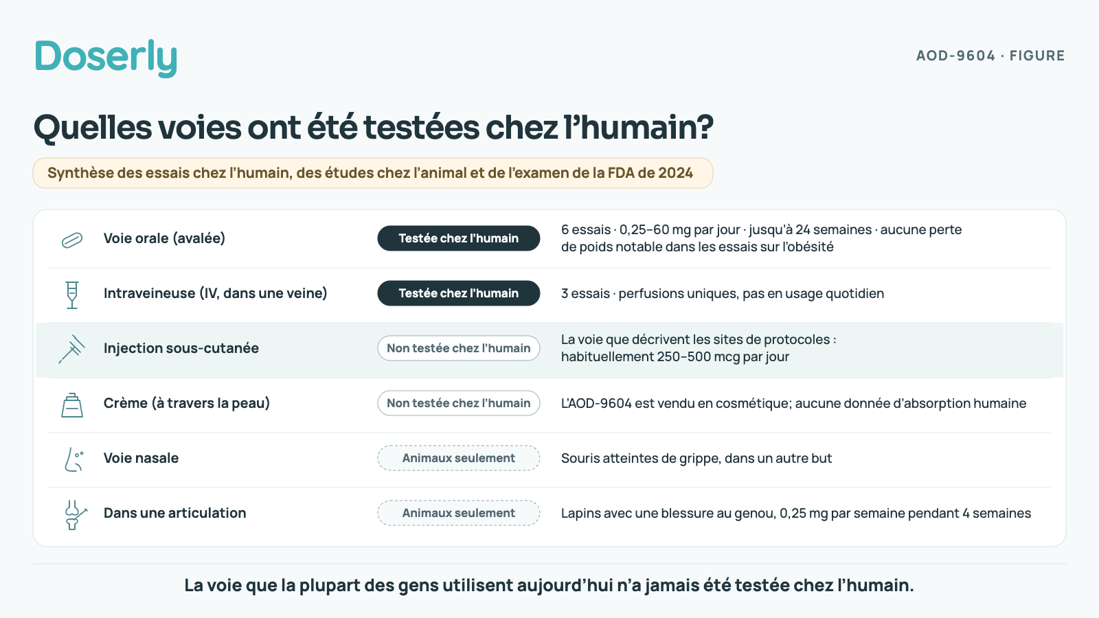 Tableau des voies d’administration. Voie orale : testée chez l’humain dans 6 essais à 0,25–60 mg par jour pendant jusqu’à 24 semaines, sans perte de poids notable. IV : testée dans 3 essais de perfusions uniques, pas en usage quotidien. Injection sous-cutanée, la voie que décrivent les sites de protocoles à 250–500 mcg par jour : non testée chez l’humain. Crème : non testée chez l’humain. Voie nasale : souris seulement. Dans une articulation : lapins seulement.