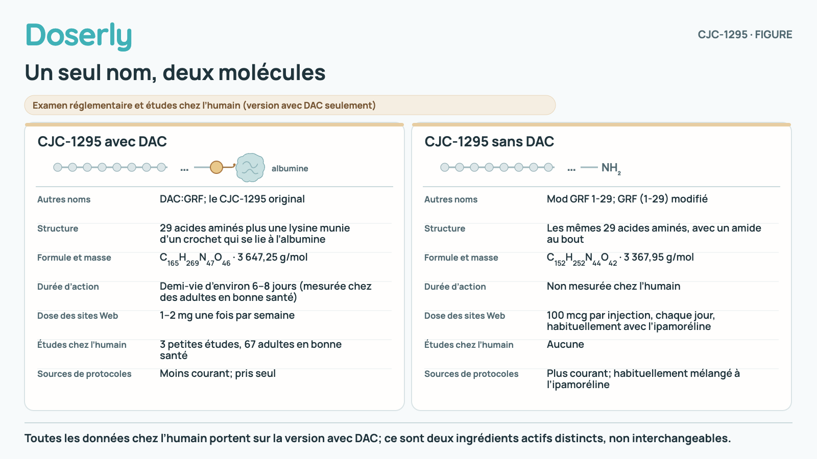 Comparaison des deux molécules vendues sous le nom de CJC-1295. Avec DAC : 29 acides aminés plus une lysine qui se lie à l’albumine, une demi-vie d’environ 6 à 8 jours chez des adultes en bonne santé, habituellement pris à raison de 1 à 2 mg une fois par semaine, étudié chez 67 adultes en bonne santé. Sans DAC, aussi appelé Mod GRF 1-29 : les mêmes 29 acides aminés avec un amide au bout, aucune demi-vie mesurée chez l’humain, habituellement pris à raison de 100 mcg par jour avec l’ipamoréline, jamais étudié chez l’humain.