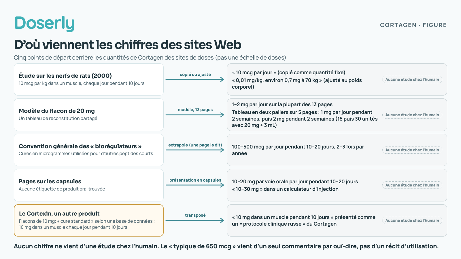 Un diagramme de filiation avec cinq points de départ à gauche; chaque flèche mène aux quantités qui apparaissent sur les sites de doses du Cortagen, et chaque case de site porte la mention « aucune étude chez l’humain ». 1. L’étude de 2000 sur les nerfs de rats, 10 microgrammes par kilogramme dans un muscle chaque jour pendant 10 jours, est copiée ou ajustée en « 10 mcg par jour » comme quantité fixe, ou en « 0,01 mg/kg, environ 0,7 mg à 70 kg ». 2. Un modèle de flacon de 20 mg partagé par 13 pages donne 1 à 2 mg par jour sur la plupart d’entre elles; 5 pages impriment un tableau en deux paliers de 1 mg par jour pendant 2 semaines, puis 2 mg pendant 2 semaines (15 puis 30 unités avec 20 mg et 3 mL). 3. Une convention générale des « biorégulateurs » est extrapolée, comme le dit une page, en 100 à 500 mcg par jour pendant 10 à 20 jours, 2 à 3 fois par année. 4. Les pages sur les capsules, sans étiquette de produit oral trouvée, donnent 10 à 20 mg par voie orale par jour pendant 10 à 20 jours, et un calculateur d’injection indique « 10 à 30 mg ». 5. Le Cortexin, un autre produit vendu en flacons de 10 mg, dont la cure standard selon une base de données est de 10 mg dans un muscle chaque jour pendant 10 jours, est transposé en « protocole clinique russe » du Cortagen. Bas de la figure : aucun chiffre ne vient d’une étude chez l’humain; le chiffre « typique de 650 mcg par jour » vient d’un seul commentaire par ouï-dire, pas d’un récit d’utilisation.
