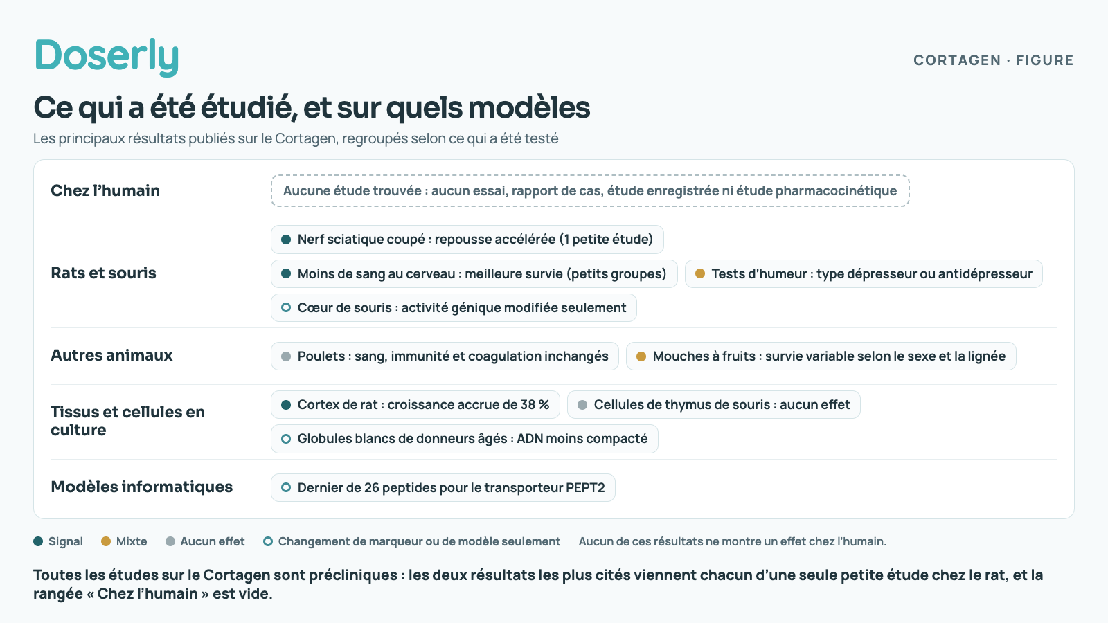 Une grille des principaux résultats publiés sur le Cortagen, par type d’étude. Chez l’humain : aucune étude trouvée, aucun essai, rapport de cas, étude enregistrée ni étude pharmacocinétique. Rats et souris : Nerf sciatique coupé : repousse accélérée (1 petite étude) (signal); Moins de sang au cerveau : meilleure survie (petits groupes) (signal); Tests d’humeur : type dépresseur ou antidépresseur (mixte); Cœur de souris : activité génique modifiée seulement (changement de marqueur ou de modèle seulement). Autres animaux : Poulets : sang, immunité et coagulation inchangés (aucun effet); Mouches à fruits : survie variable selon le sexe et la lignée (mixte). Tissus et cellules en culture : Cortex de rat : croissance accrue de 38 % (signal); Cellules de thymus de souris : aucun effet (aucun effet); Globules blancs de donneurs âgés : ADN moins compacté (changement de marqueur ou de modèle seulement). Modèles informatiques : Dernier de 26 peptides pour le transporteur PEPT2 (changement de marqueur ou de modèle seulement). Légende : signal désigne une différence rapportée dans ce modèle, mixte des résultats qui vont dans des sens différents, aucun effet un test qui n’a rien trouvé, et changement de marqueur ou de modèle seulement un résultat chimique ou informatique sans mesure d’une fonction. Aucun de ces résultats ne montre un effet chez l’humain.
