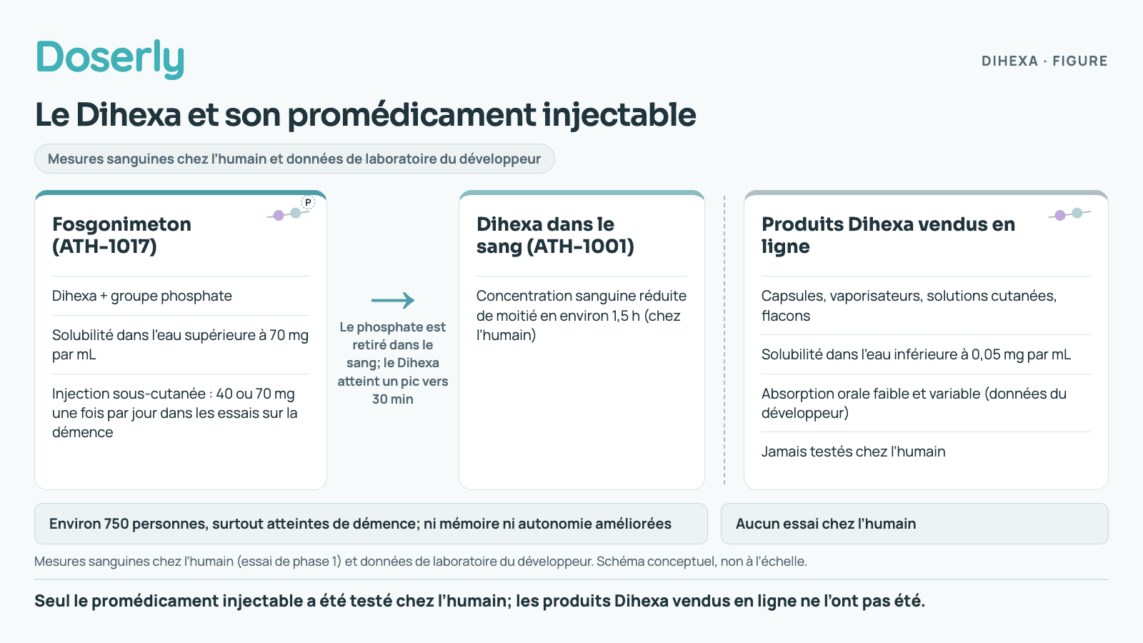 Le fosgonimeton, Dihexa avec un groupe phosphate ajouté, a été injecté dans des essais et se transforme en Dihexa dans le sang. Sa concentration sanguine diminue de moitié en environ 1,5 h. Les essais ayant recruté environ 750 personnes n’ont montré aucun bénéfice pour la mémoire ni la fonction quotidienne. Les produits Dihexa vendus en ligne n’ont jamais été testés chez l’humain.