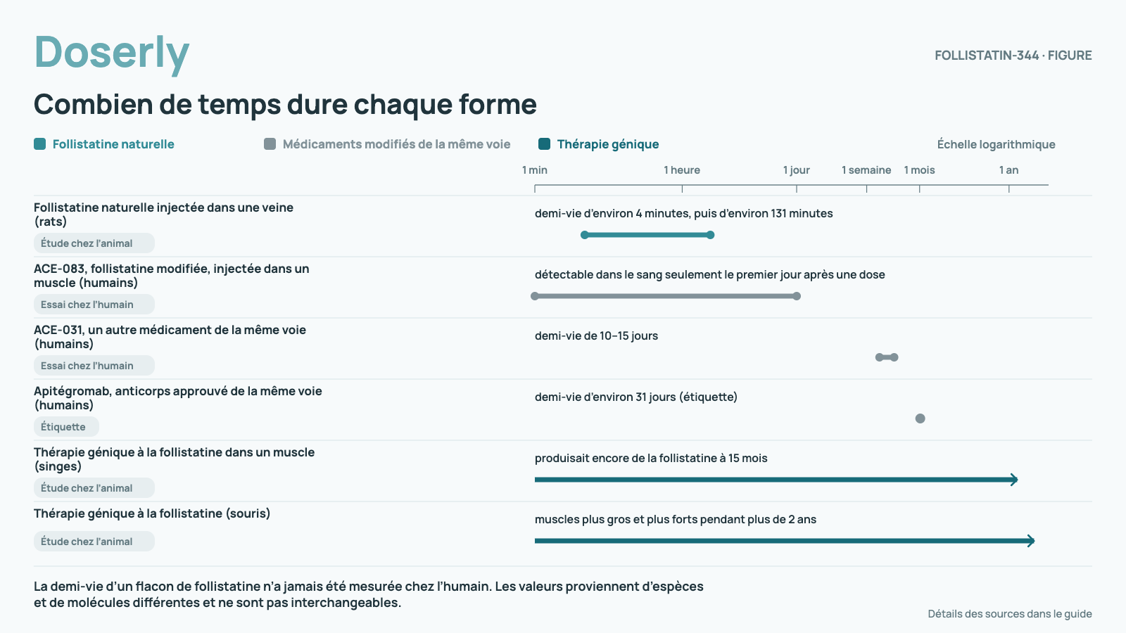 Combien de temps dure chaque forme. Échelle logarithmique de 1 minute à 3 ans, graduations à 1 min, 1 heure, 1 jour, 1 semaine, 1 mois et 1 an. Follistatine naturelle injectée dans une veine (rats) : demi-vie d’environ 4 minutes, puis d’environ 131 minutes (Étude chez l’animal). ACE-083, follistatine modifiée, injectée dans un muscle (humains) : détectable dans le sang seulement le premier jour après une dose (Essai chez l’humain). ACE-031, un autre médicament de la même voie (humains) : demi-vie de 10–15 jours (Essai chez l’humain). Apitégromab, anticorps approuvé de la même voie (humains) : demi-vie d’environ 31 jours (étiquette) (Étiquette). Thérapie génique à la follistatine dans un muscle (singes) : produisait encore de la follistatine à 15 mois (Étude chez l’animal). Thérapie génique à la follistatine (souris) : muscles plus gros et plus forts pendant plus de 2 ans (Étude chez l’animal). La demi-vie d’un flacon de follistatine n’a jamais été mesurée chez l’humain. Les valeurs proviennent d’espèces et de molécules différentes et ne sont pas interchangeables.