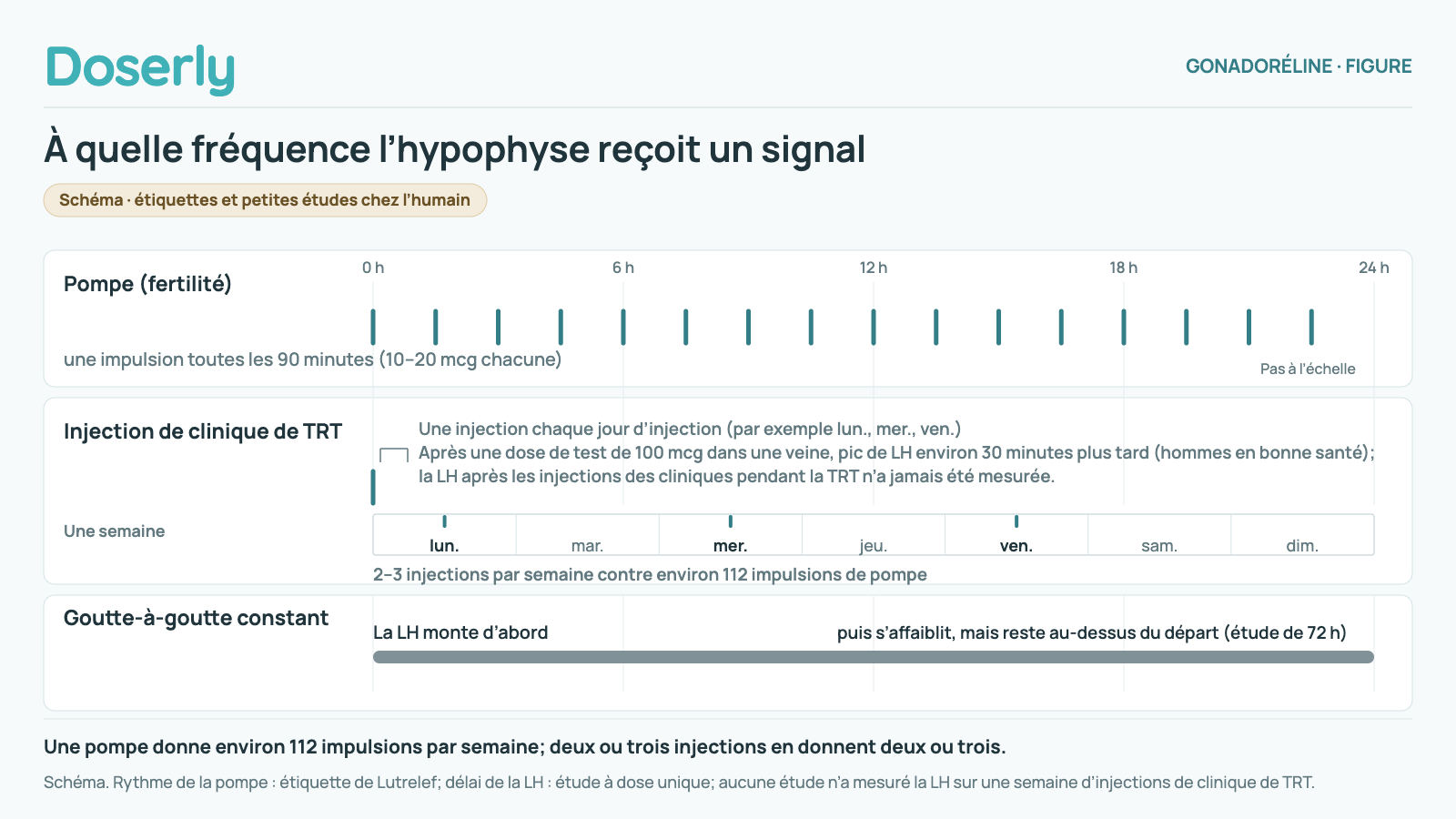 Schéma, pas à l’échelle, avec trois rangées sur un axe de 24 heures. Pompe pour un traitement de fertilité : 16 impulsions par jour, également espacées, soit une impulsion de 10 à 20 mcg toutes les 90 minutes. Injection de clinique de TRT : une injection chaque jour d’injection (par exemple lundi, mercredi et vendredi) : 2 à 3 injections par semaine contre environ 112 impulsions de pompe. Après une dose de test de 100 mcg dans une veine, la LH a atteint son pic environ 30 minutes plus tard chez des hommes en bonne santé; la LH après les injections des cliniques pendant la TRT n’a jamais été mesurée. Goutte-à-goutte constant, une perfusion : la LH monte d’abord, puis la réponse s’affaiblit, tout en restant au-dessus du niveau de départ dans une étude de 72 heures. Aucune étude n’a mesuré la LH sur une semaine d’injections de clinique de TRT.