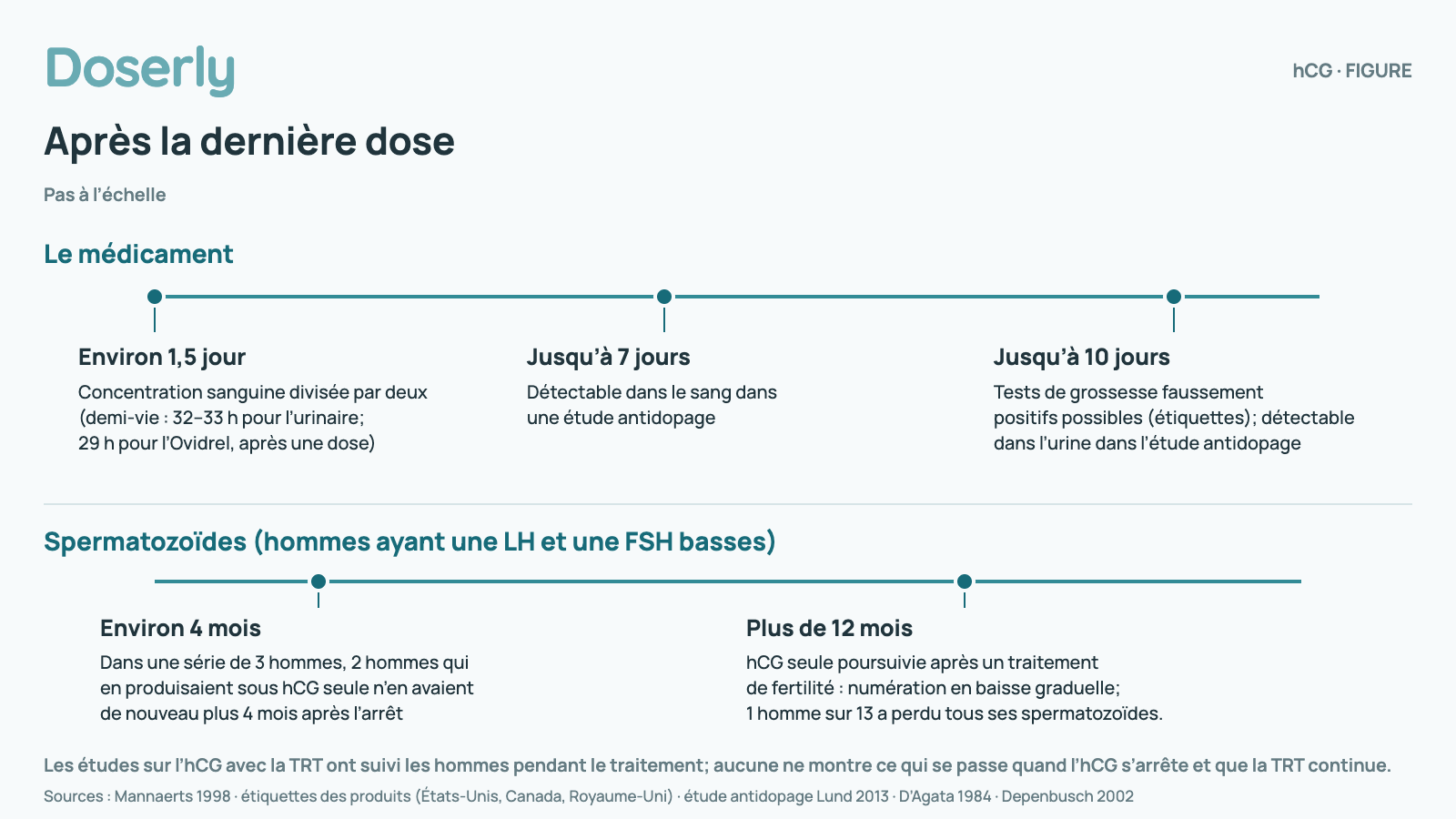 Ligne du temps, pas à l’échelle, après la dernière dose d’hCG. Le médicament : environ 1,5 jour, la concentration sanguine diminue de moitié (demi-vie de 32–33 h pour l’hCG urinaire; 29 h pour l’Ovidrel, après une dose); jusqu’à 7 jours, détectable dans le sang dans une étude antidopage; jusqu’à 10 jours, les tests de grossesse peuvent donner un faux résultat positif (étiquettes); détectable dans l’urine dans l’étude antidopage. Spermatozoïdes chez les hommes ayant une LH et une FSH basses : environ 4 mois, dans une série de 3 hommes, 2 hommes qui produisaient des spermatozoïdes sous hCG seule n’en avaient de nouveau plus 4 mois après l’arrêt; plus de 12 mois, hCG seule poursuivie après un traitement de fertilité antérieur : la numération a diminué graduellement; 1 homme sur 13 a perdu tous ses spermatozoïdes. Les études sur l’hCG avec une thérapie à la testostérone ont suivi les hommes pendant le traitement; aucune ne montre ce qui se passe quand l’hCG s’arrête alors que la TRT continue.