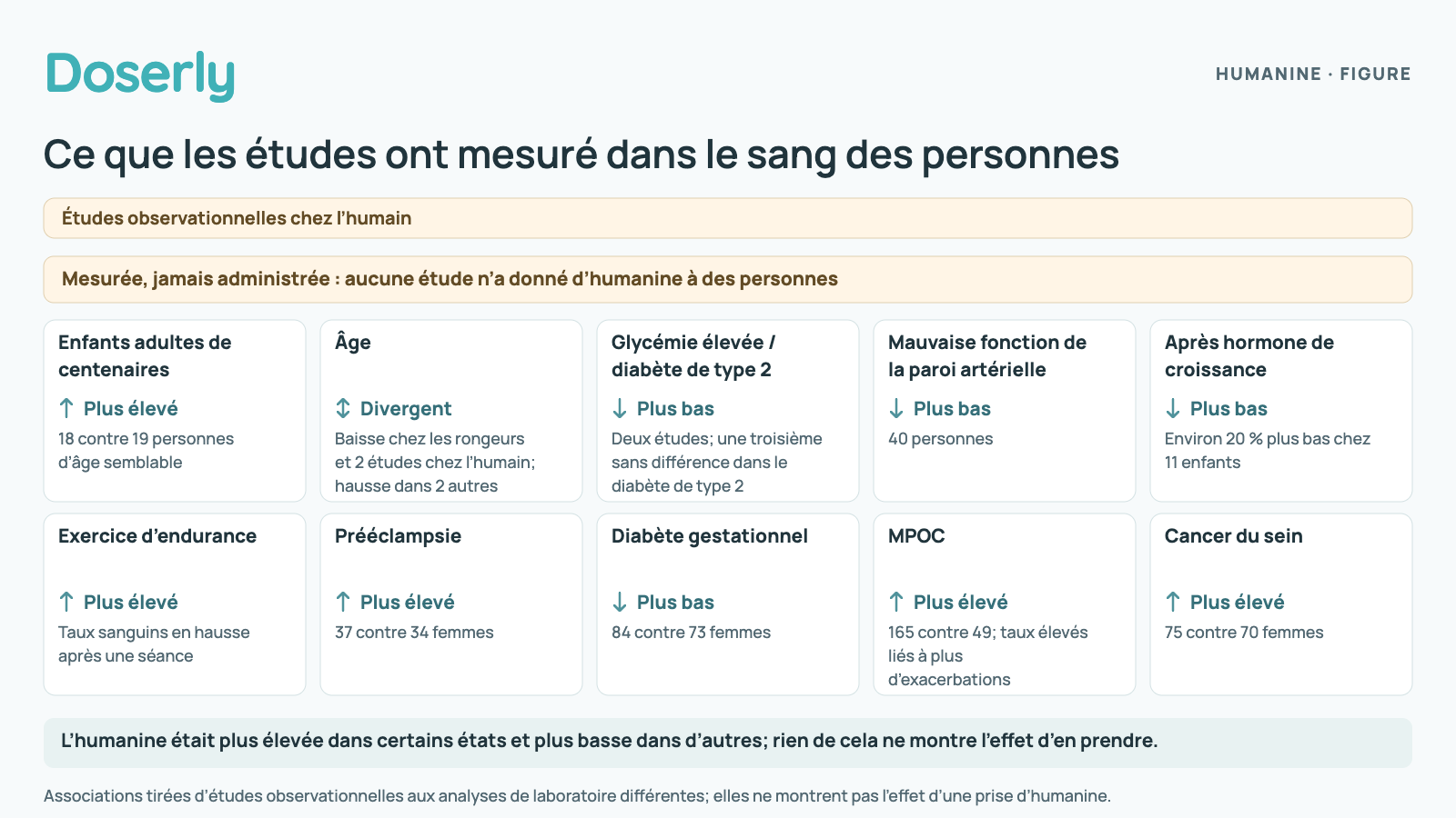 Tuiles résumant des études observationnelles des taux d’humanine naturelle. Plus élevés : chez les enfants adultes de centenaires, après un exercice d’endurance, dans la prééclampsie, dans la MPOC et dans le cancer du sein. Plus bas : avec une glycémie élevée ou un diabète de type 2 dans deux études (une troisième n’a trouvé aucune différence), avec une mauvaise fonction de la paroi des artères coronaires, après un traitement à l’hormone de croissance chez des enfants, et dans le diabète gestationnel. Âge : résultats divergents. Aucune étude n’a donné d’humanine à des personnes.