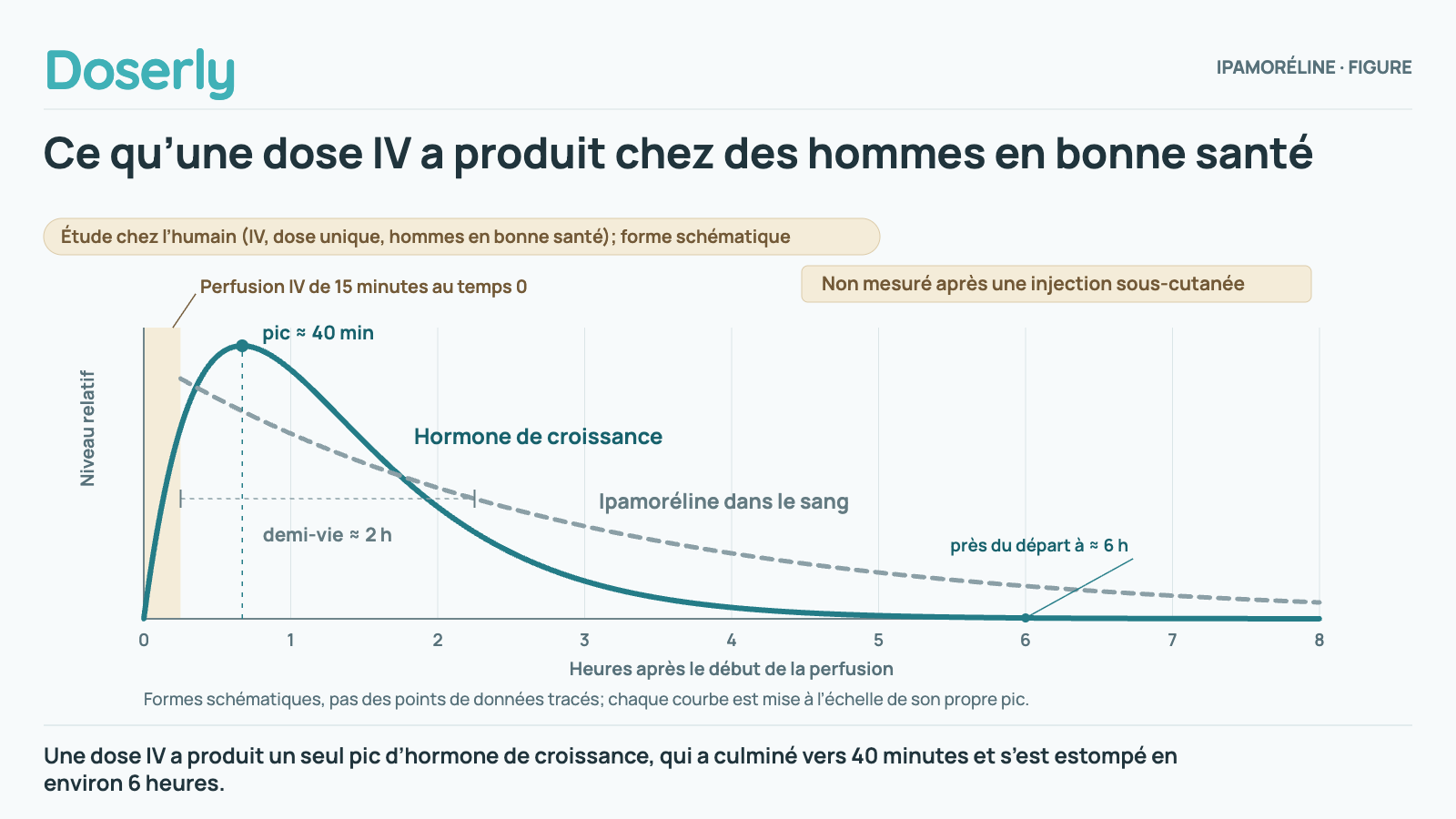 Évolution schématique après une seule perfusion IV de 15 minutes d’ipamoréline chez des hommes en bonne santé : l’hormone de croissance monte jusqu’à un seul pic vers 40 minutes et redescend près de la valeur de départ après environ 6 heures, alors que l’ipamoréline dans le sang diminue avec une demi-vie d’environ 2 heures. Les courbes sont schématiques, et rien d’équivalent n’a été mesuré après une injection sous-cutanée.