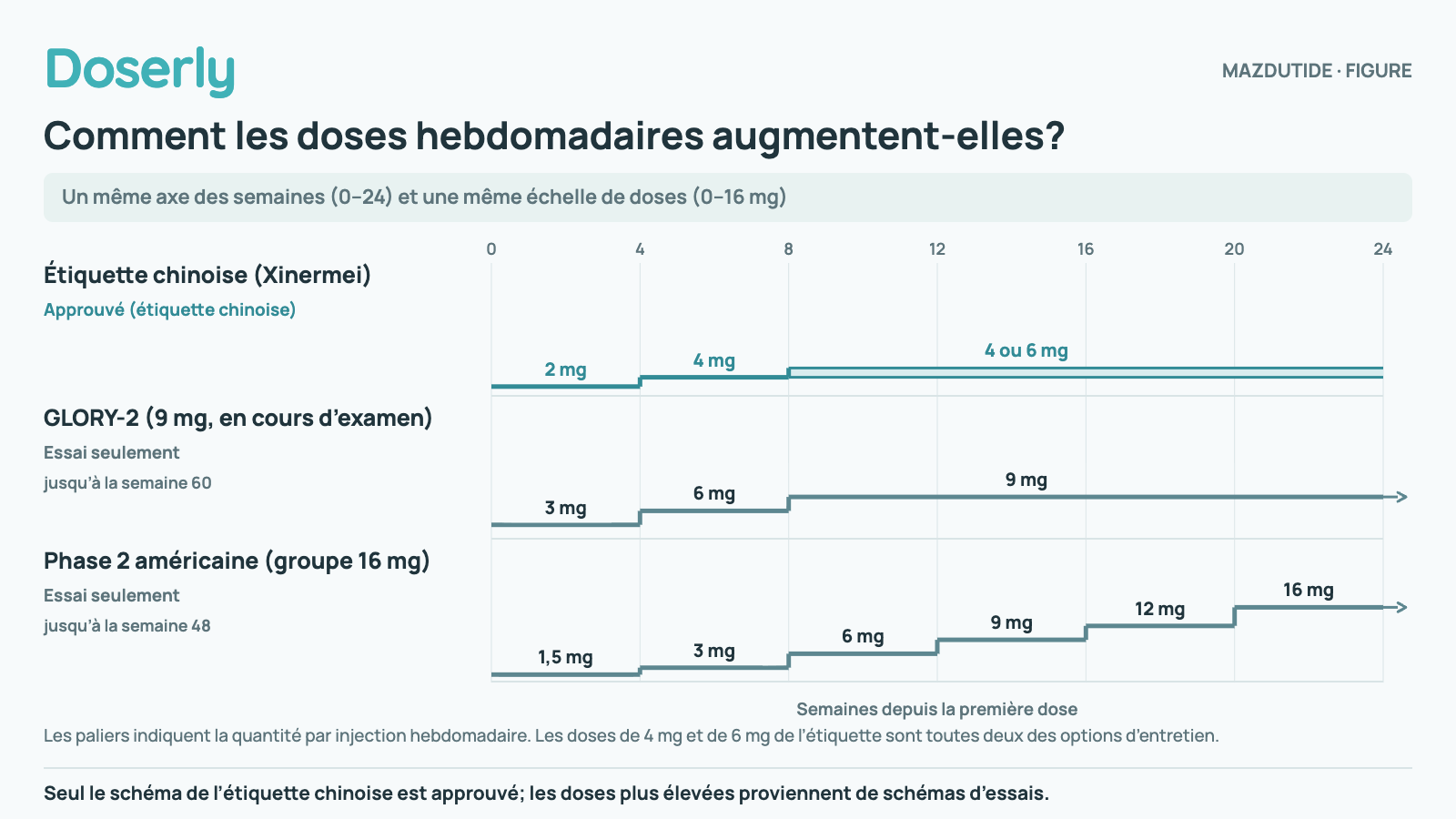 Trois chronologies en paliers sur une même échelle de 0 à 24 semaines et de 0 à 16 mg. Étiquette chinoise (Xinermei) · approuvé (étiquette chinoise) : 2 mg aux semaines 1–4; 4 mg aux semaines 5–8; 4 ou 6 mg (entretien) à partir de la semaine 9. GLORY-2 (9 mg, en cours d’examen) · essai seulement : 3 mg aux semaines 1–4; 6 mg aux semaines 5–8; 9 mg aux semaines 9–60. Phase 2 américaine (groupe 16 mg) · essai seulement : 1,5 mg aux semaines 0–3; 3 mg aux semaines 4–7; 6 mg aux semaines 8–11; 9 mg aux semaines 12–15; 12 mg aux semaines 16–19; 16 mg aux semaines 20–48. Les paliers indiquent la quantité par injection hebdomadaire. Les doses de 4 mg et de 6 mg de l’étiquette sont toutes deux des options d’entretien.