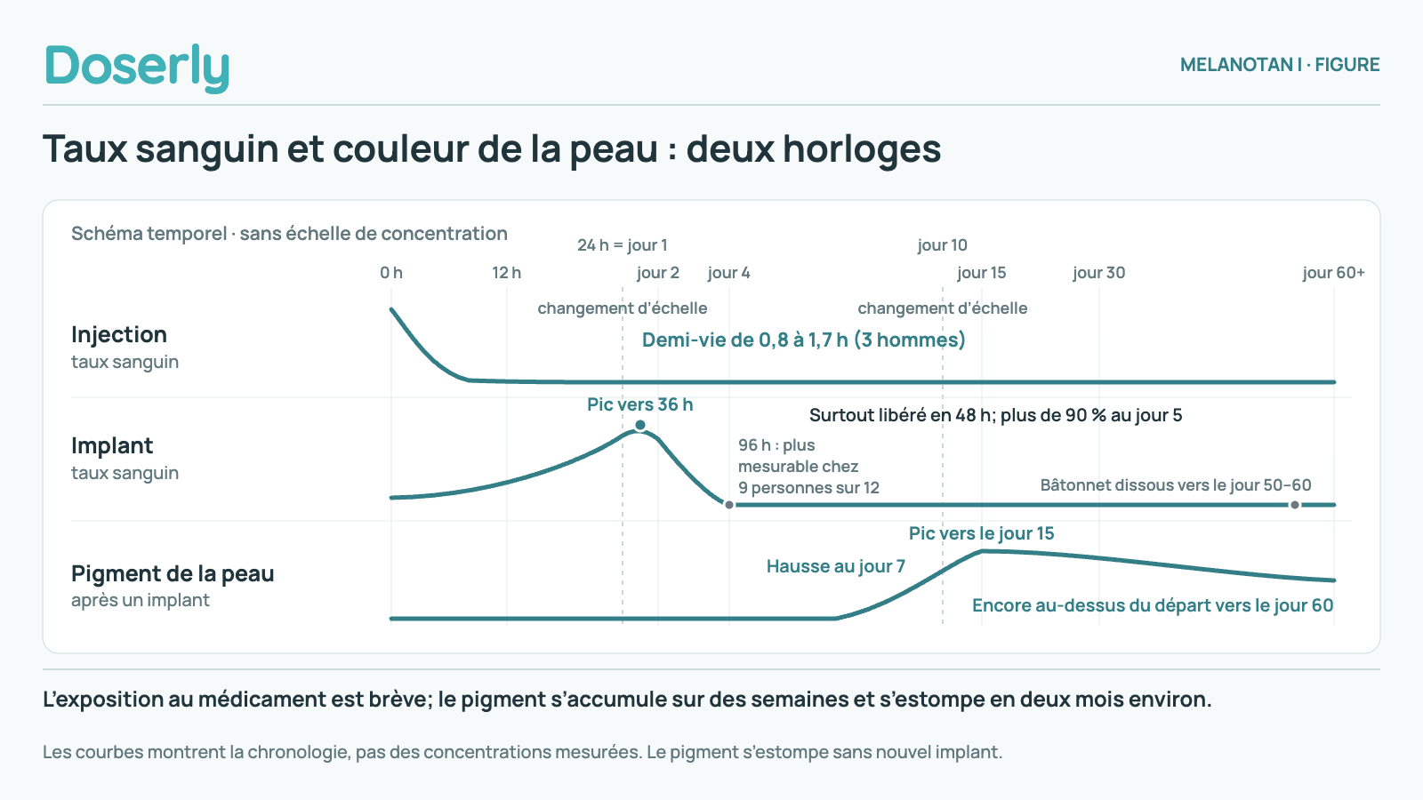 Chronologie continue par segments, avec des changements d’échelle à la graduation commune de 24 heures et du jour 1, puis au jour 10. Après une injection, le taux sanguin baisse avec une demi-vie de 0,8 à 1,7 heure chez trois hommes. Avec l’implant, le taux sanguin atteint un pic vers 36 heures; la plus grande partie est libérée en 48 heures et plus de 90 % au jour 5; à 96 heures, il n’était plus mesurable chez 9 personnes sur 12, et le bâtonnet était entièrement dissous vers le jour 50 à 60. Le pigment de la peau augmente dès le jour 7, atteint un pic vers le jour 15 et reste au-dessus du niveau de départ vers le jour 60. Les courbes sont schématiques, sans axe de concentration.