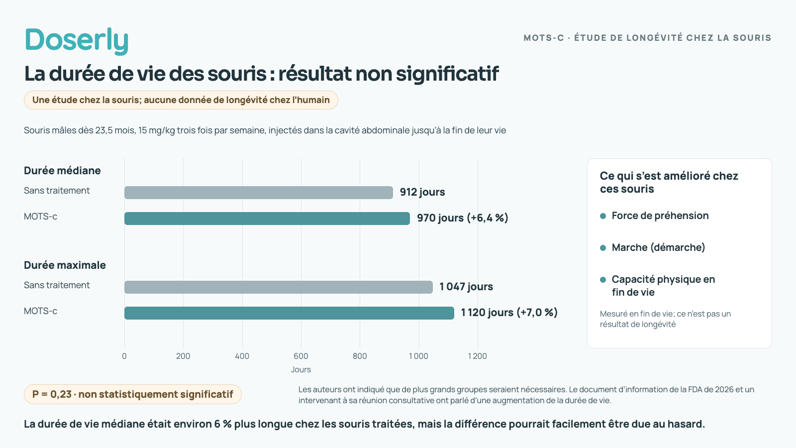 Diagramme à barres d’une étude chez la souris : durée de vie médiane de 912 jours sans traitement contre 970 jours avec le MOTS-c, maximum de 1 047 contre 1 120 jours. La différence globale n’était pas statistiquement significative (P = 0,23). La force de préhension, la marche et la capacité physique se sont améliorées.