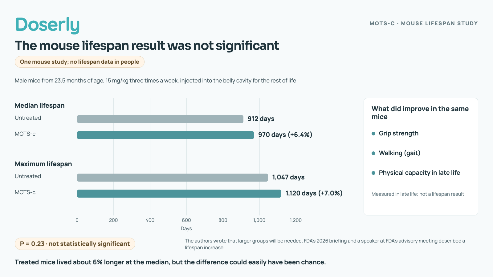 Bar chart from one mouse study: median lifespan 912 days untreated versus 970 days with MOTS-c, maximum 1,047 versus 1,120 days. The overall difference was not statistically significant (P = 0.23). Grip strength, walking and physical capacity did improve.