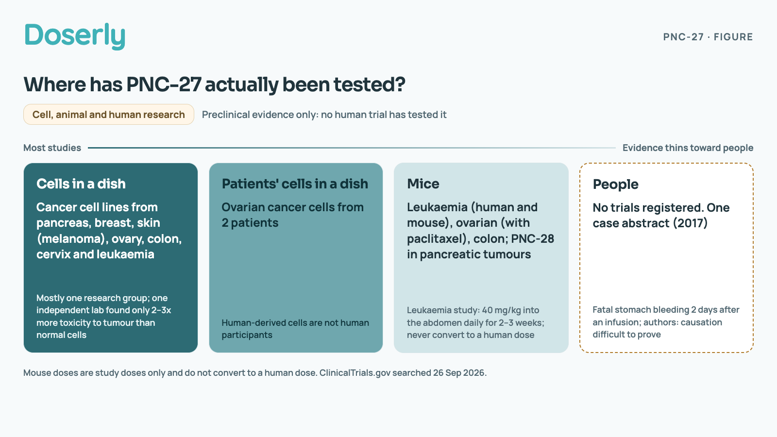 Four columns showing where PNC-27 has been tested, with evidence thinning from left to right. Cells in a dish: Cancer cell lines from pancreas, breast, skin (melanoma), ovary, colon, cervix and leukaemia. Mostly one research group; one independent lab found only 2–3x more toxicity to tumour than normal cells. Patients' cells in a dish: Ovarian cancer cells from 2 patients. Human-derived cells are not human participants. Mice: Leukaemia (human and mouse), ovarian (with paclitaxel), colon; PNC-28 in pancreatic tumours. Leukaemia study: 40 mg/kg into the abdomen daily for 2–3 weeks; never convert to a human dose. People: No trials registered. One case abstract (2017). Fatal stomach bleeding 2 days after an infusion; authors: causation difficult to prove.
