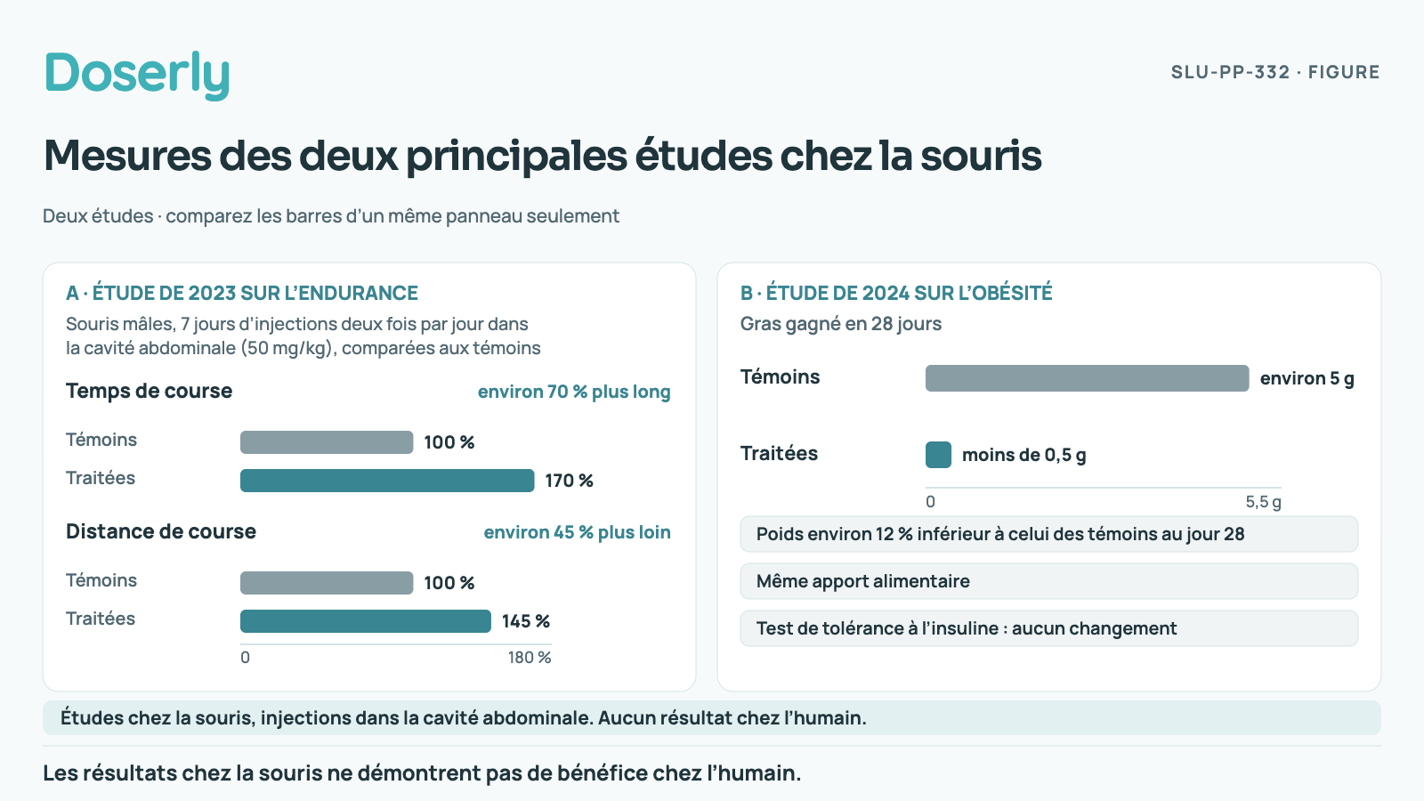 Deux panneaux. À gauche, dans une étude de 2023, des souris traitées ont couru environ 70 % plus longtemps et 45 % plus loin que des souris témoins (injections sans le composé) après une semaine d’injections. À droite, dans une étude de 2024 sur des souris obèses, les témoins ont gagné environ 5 g de gras en 28 jours et les souris traitées moins de 0,5 g, avec le même apport alimentaire et sans changement au test de tolérance à l’insuline. Résultats chez la souris, pas chez l’humain.