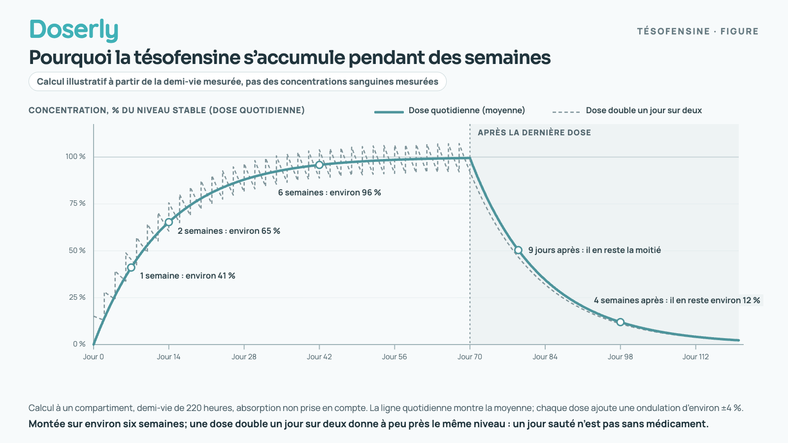 Graphique linéaire illustratif des concentrations de tésofensine sur 120 jours, en pourcentage de la concentration stable atteinte avec une prise quotidienne. Avec des doses quotidiennes, la concentration atteint environ 41 % après 1 semaine, 65 % après 2 semaines et 96 % après 6 semaines. Une prise un jour sur deux, à une quantité double, oscille en dents de scie autour de la même courbe, entre environ 93 % et 108 % au plateau. Après la dernière dose, au jour 70, la moitié a disparu après environ 9 jours et il en reste environ 12 % après 4 semaines.