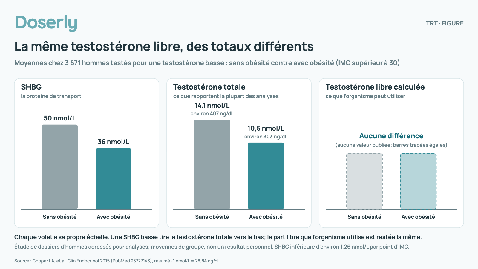 Diagramme à barres en trois volets tiré d’une étude de dossiers de 3 671 hommes testés pour une testostérone basse, qui compare des hommes sans obésité (gris) et avec obésité (sarcelle, IMC supérieur à 30). SHBG : 50 contre 36 nmol/L. Testostérone totale : 14,1 contre 10,5 nmol/L (environ 407 contre 303 ng/dL). Testostérone libre calculée : deux barres égales en pointillé marquées aucune différence; l’étude n’a publié aucune valeur. Une SHBG basse tire la testostérone totale vers le bas alors que la part libre reste la même. Des moyennes de groupe, et non le résultat d’une personne.