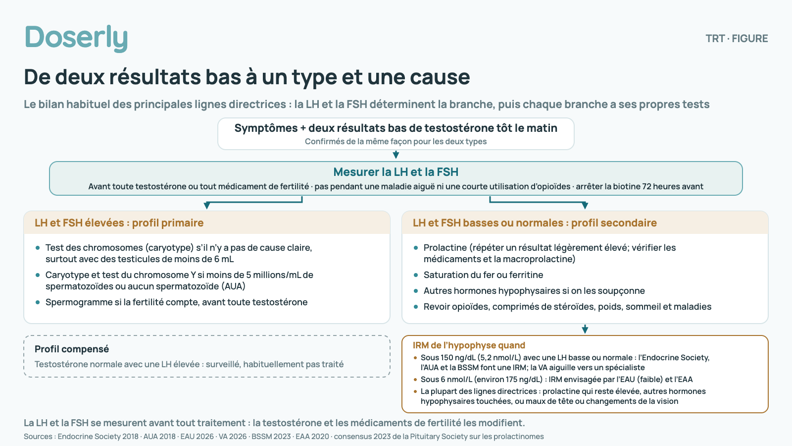 Organigramme. Départ : symptômes + deux résultats bas de testostérone tôt le matin, confirmés de la même façon pour les deux types. Ensuite mesurer la LH et la FSH : avant toute testostérone ou tout médicament de fertilité; pas pendant une maladie aiguë ni une courte utilisation d’opioïdes; arrêter la biotine 72 heures avant. Si la LH et la FSH sont élevées (profil primaire) : Test des chromosomes (caryotype) s’il n’y a pas de cause claire, surtout avec des testicules de moins de 6 mL; Caryotype et test du chromosome Y si moins de 5 millions/mL de spermatozoïdes ou aucun spermatozoïde (AUA); Spermogramme si la fertilité compte, avant toute testostérone. Si la LH et la FSH sont basses ou normales (profil secondaire) : Prolactine (répéter un résultat légèrement élevé; vérifier les médicaments et la macroprolactine); Saturation du fer ou ferritine; Autres hormones hypophysaires si on les soupçonne; Revoir opioïdes, comprimés de stéroïdes, poids, sommeil et maladies. IRM de l’hypophyse quand : Sous 150 ng/dL (5,2 nmol/L) avec une LH basse ou normale : l’Endocrine Society, l’AUA et la BSSM font une IRM; la VA aiguille vers un spécialiste; Sous 6 nmol/L (environ 175 ng/dL) : IRM envisagée par l’EAU (faible) et l’EAA; La plupart des lignes directrices : prolactine qui reste élevée, autres hormones hypophysaires touchées, ou maux de tête ou changements de la vision. Note complémentaire : profil compensé, testostérone normale avec une LH élevée : surveillé, habituellement pas traité. La LH et la FSH se mesurent avant tout traitement : la testostérone et les médicaments de fertilité les modifient.