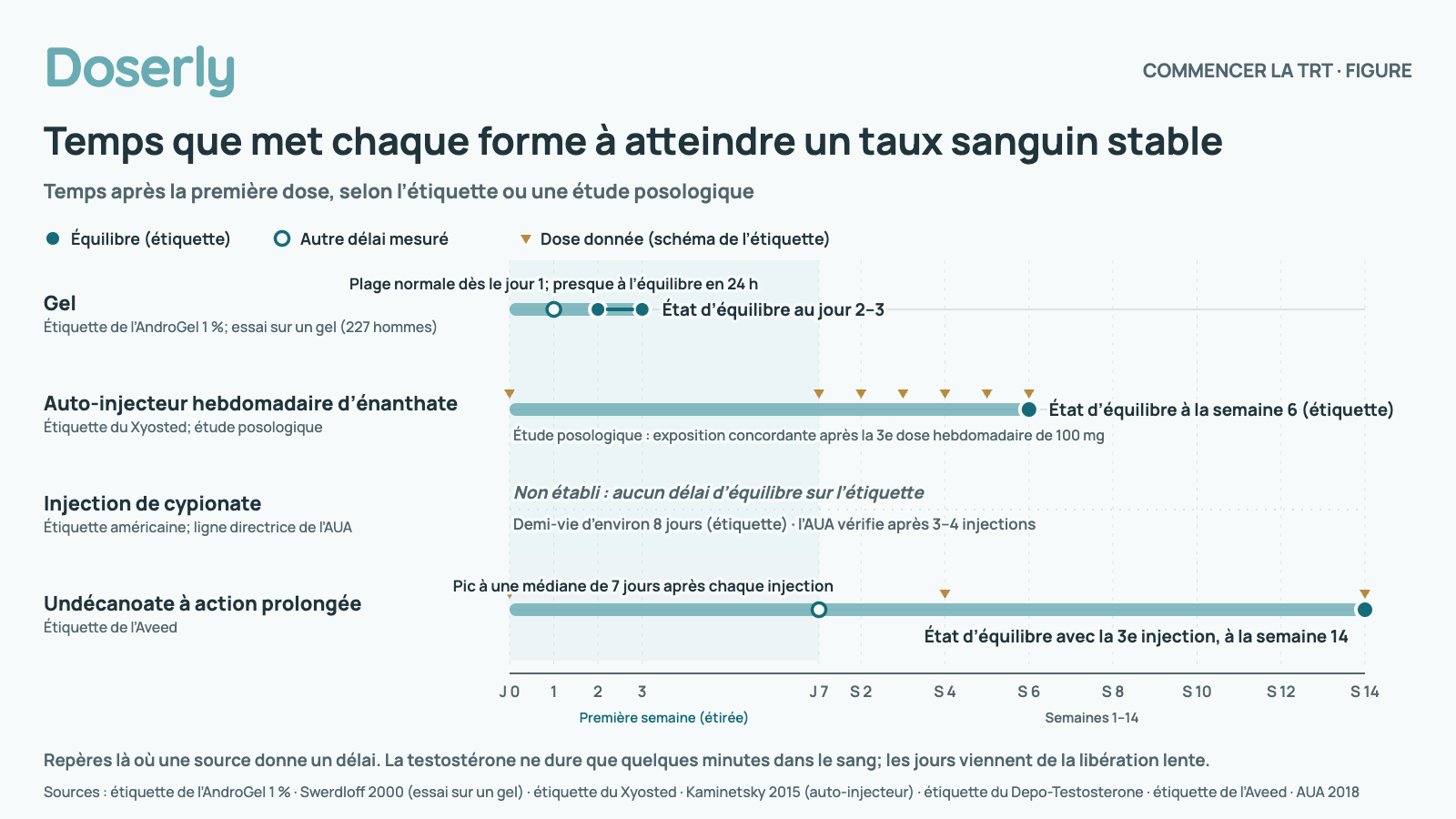 Graphique du temps que met chaque forme à atteindre un taux sanguin stable après la première dose, sur un axe du temps qui étire la première semaine : gel, du jour 1 au jour 2–3 : un essai auprès de 227 hommes a atteint la plage normale au jour 1; l’étiquette de l’AndroGel 1 % indique un état proche de l’équilibre en 24 heures et l’état d’équilibre au jour 2–3; auto-injecteur hebdomadaire d’énanthate, à la semaine 6 : l’étiquette du Xyosted indique l’état d’équilibre à la semaine 6, et une étude posologique a trouvé une exposition concordante après la 3e dose hebdomadaire de 100 mg; injection de cypionate, non établi : aucun délai d’équilibre sur l’étiquette, demi-vie d’environ 8 jours (étiquette), et l’AUA vérifie après 3–4 injections; injection d’undécanoate à action prolongée, semaine 14 : étiquette de l’Aveed : pic à une médiane de 7 jours après chaque injection, état d’équilibre avec la 3e injection, à la semaine 14. Des repères ne sont dessinés que là où une source donne un délai.