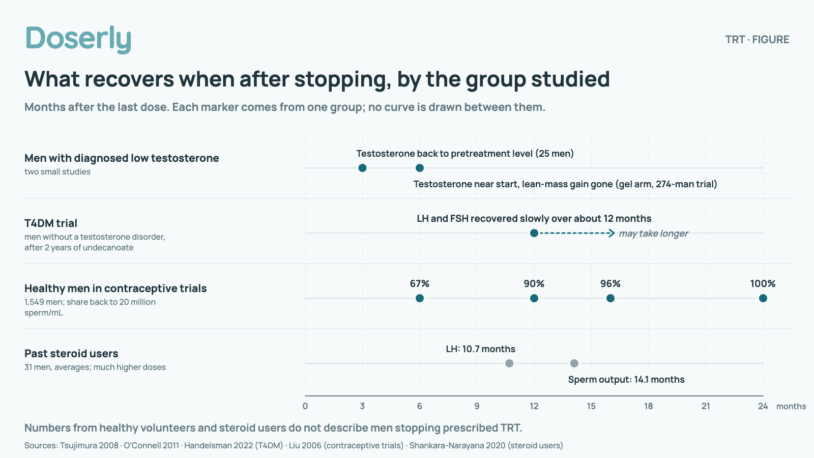 Timeline from 0 to 24 months after the last dose with one lane per group studied. Men with diagnosed low testosterone (two small studies): 3 months, testosterone back to its pretreatment level (25 men who had benefited); 6 months, testosterone near its starting level and the lean-mass gain gone (frail older men on gel; the trial had 274 men). T4DM trial (men without a testosterone disorder, after 2 years of undecanoate): About 12 months, lH and FSH recovered slowly; full recovery may take longer. Healthy men in contraceptive trials (1,549 men; share back to 20 million sperm/mL): 6 months, 67% back to 20 million sperm/mL; 12 months, 90%; 16 months, 96%; 24 months, 100%. Past steroid users (31 men, averages; much higher doses): 10.7 months, lH recovered, on average; 14.1 months, sperm output recovered, on average. No curve is drawn between markers. Numbers from healthy volunteers and steroid users do not describe men stopping prescribed TRT.