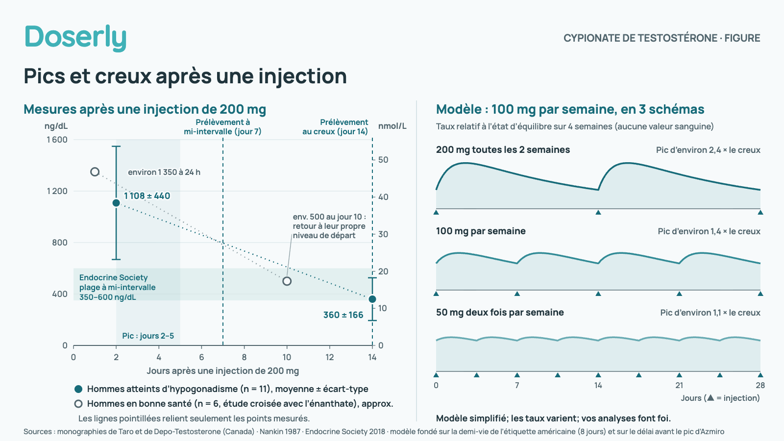 Deux panneaux. À gauche : testostérone totale mesurée après une injection intramusculaire de 200 mg de cypionate de testostérone. Chez 11 hommes atteints d’hypogonadisme, 1 108 plus ou moins 440 ng/dL au jour 2, un pic entre les jours 2 et 5, et 360 plus ou moins 166 ng/dL au jour 14. Dans une étude croisée chez 6 hommes en bonne santé comparant 200 mg de cypionate à 194 mg d’énanthate, environ 1 350 ng/dL à 24 heures et retour à leur niveau de départ d’environ 500 ng/dL au jour 10, sans distinction entre les deux esters. La plage à mi-intervalle de l’Endocrine Society, de 350 à 600 ng/dL, est ombrée; un prélèvement à mi-intervalle est marqué au jour 7 et un prélèvement au creux au jour 14. À droite : un modèle simplifié du même total hebdomadaire de 100 mg à l’état d’équilibre. 200 mg toutes les 2 semaines donnent un pic d’environ 2,4 fois le creux, 100 mg par semaine d’environ 1,4 fois, et 50 mg deux fois par semaine d’environ 1,1 fois. Modèle simplifié; les taux individuels varient; ce sont vos analyses qui comptent.