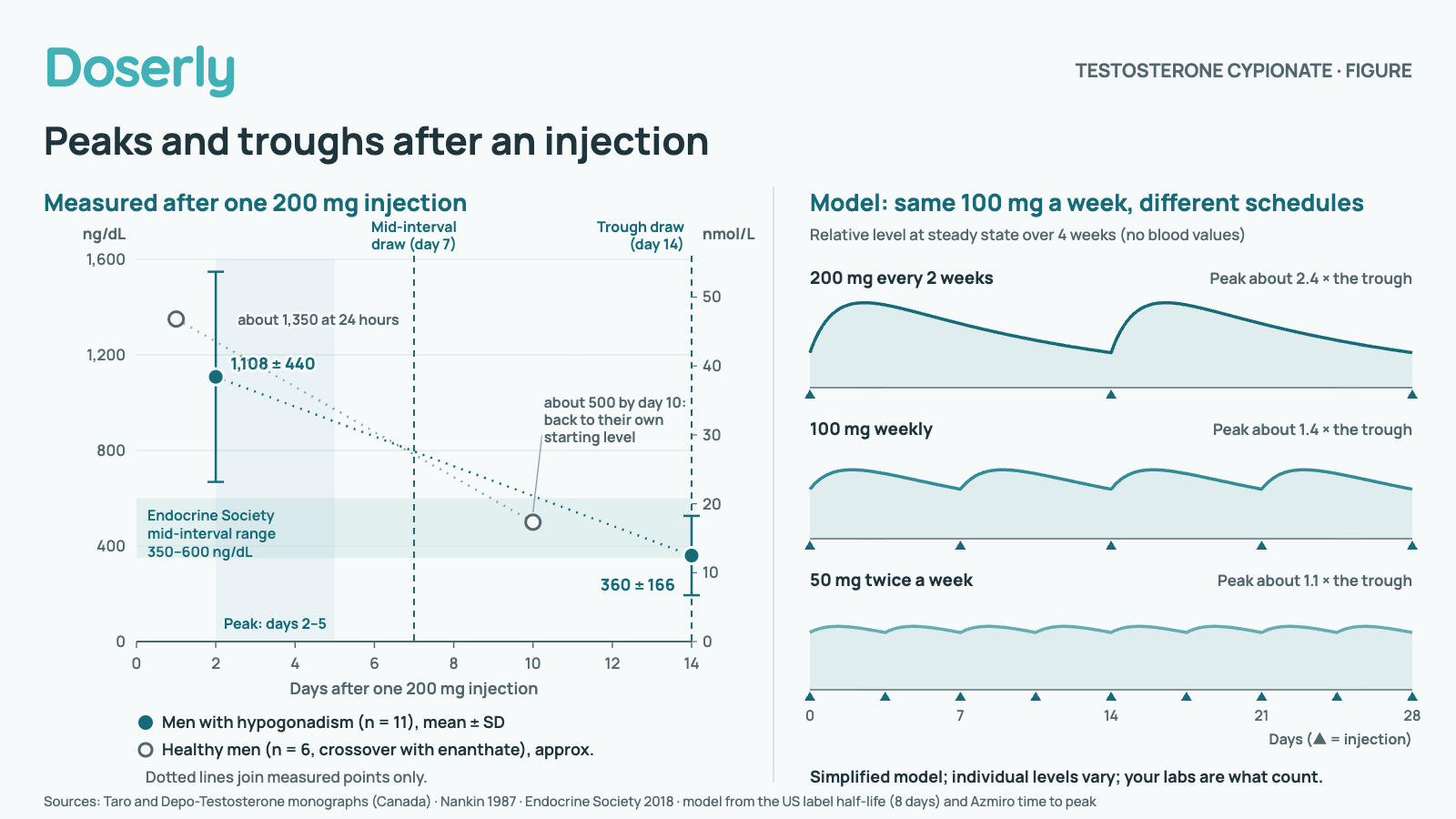 Two panels. Left: measured total testosterone after one 200 mg intramuscular injection of testosterone cypionate. In 11 men with hypogonadism, 1,108 plus or minus 440 ng/dL on day 2, a peak between days 2 and 5, and 360 plus or minus 166 ng/dL on day 14. In a crossover study of 6 healthy men comparing 200 mg cypionate with 194 mg enanthate, about 1,350 ng/dL at 24 hours and back to their starting level of about 500 ng/dL by day 10, not reported separately by ester. The Endocrine Society mid-interval range of 350 to 600 ng/dL is shaded; a mid-interval draw is marked at day 7 and a trough draw at day 14. Right: a simplified model of the same 100 mg weekly total at steady state. 200 mg every 2 weeks peaks about 2.4 times its trough, 100 mg weekly about 1.4 times, and 50 mg twice a week about 1.1 times. Simplified model; individual levels vary; your labs are what count.
