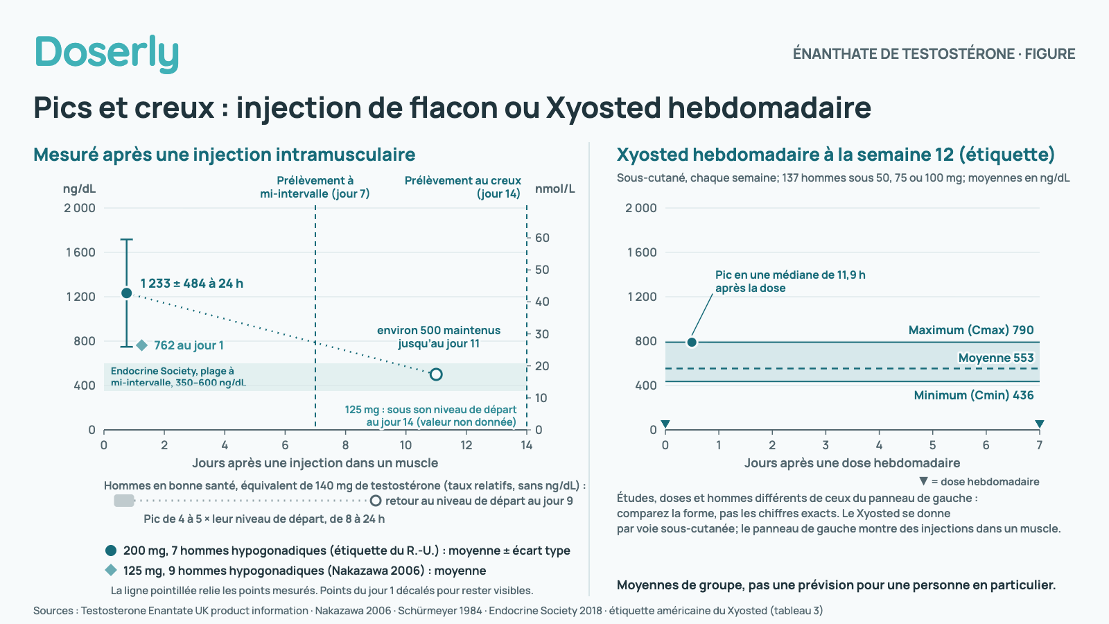 Deux panneaux sur la même échelle en ng/dL. À gauche : testostérone totale mesurée après une injection d’énanthate de testostérone dans un muscle. Dans l’étude de l’étiquette britannique, 200 mg chez 7 hommes atteints d’hypogonadisme ont donné 1 233 plus ou moins 484 ng/dL à 24 heures et environ 500 ng/dL maintenus jusqu’au jour 11. Chez 9 hommes atteints d’hypogonadisme ayant reçu 125 mg (Nakazawa 2006), la moyenne était de 762 ng/dL au jour 1 et sous leur niveau de départ au jour 14. Chez des hommes en bonne santé ayant reçu une dose équivalant à 140 mg de testostérone (Schürmeyer 1984), les taux ont atteint un pic de 4 à 5 fois leur niveau de départ de 8 à 24 heures et sont revenus au niveau de départ au jour 9, rapportés seulement en taux relatifs. La plage à mi-intervalle de l’Endocrine Society, de 350 à 600 ng/dL, est ombrée; un prélèvement à mi-intervalle est marqué au jour 7 et un prélèvement au creux au jour 14. À droite : Xyosted hebdomadaire par voie sous-cutanée à la semaine 12 chez 137 hommes, valeurs moyennes : maximum de 790 ng/dL en une médiane de 11,9 heures après la dose, moyenne de 553 et minimum de 436 ng/dL. Études, doses et hommes différents; moyennes de groupe, pas une prévision pour une personne en particulier.