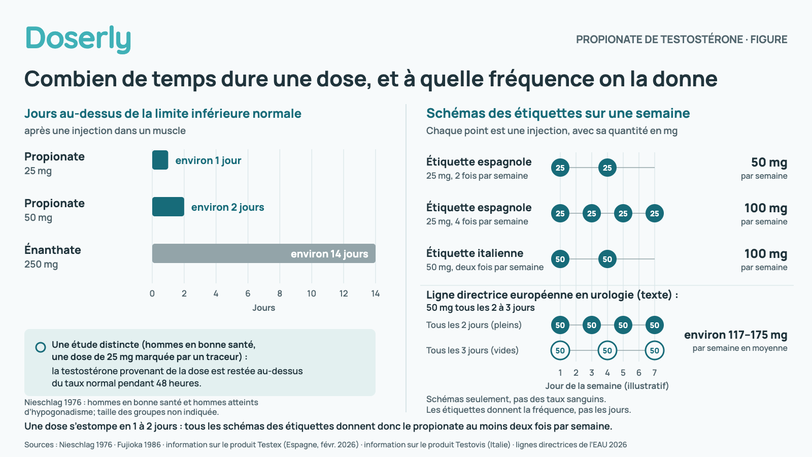 Deux panneaux. À gauche : les jours pendant lesquels la testostérone est restée au-dessus de la limite inférieure normale après une injection dans un muscle, selon une étude de 1976 chez des hommes en bonne santé et des hommes atteints d’hypogonadisme : environ 1 jour après 25 mg de propionate de testostérone, environ 2 jours après 50 mg, et environ 14 jours après 250 mg d’énanthate de testostérone. Une note ajoute que, dans une étude distincte chez des hommes en bonne santé, la testostérone provenant d’une dose de 25 mg marquée par un traceur est restée au-dessus du taux normal pendant 48 heures. À droite : les schémas de propionate des étiquettes dessinés sur une semaine, un point par injection. Étiquette espagnole, 25 mg deux fois par semaine : 50 mg par semaine. Étiquette espagnole, 25 mg quatre fois par semaine : 100 mg par semaine. Étiquette italienne, 50 mg deux fois par semaine : 100 mg par semaine. Texte de la ligne directrice européenne en urologie, 50 mg tous les 2 à 3 jours : environ 117 à 175 mg par semaine en moyenne. Les jours sont illustratifs; la bande montre des schémas, pas des taux sanguins.