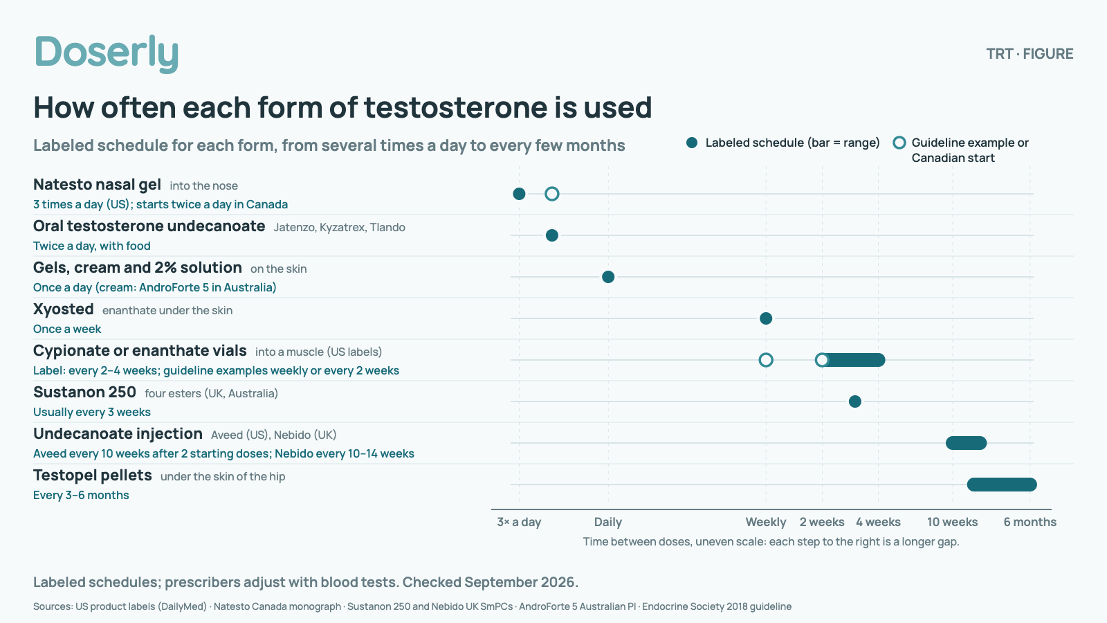 Chart of how often each form of testosterone is used on its label, on an uneven time scale from several times a day to every 6 months. Natesto nasal gel (into the nose): 3 times a day (US); starts twice a day in Canada; Oral testosterone undecanoate (Jatenzo, Kyzatrex, Tlando): Twice a day, with food; Gels, cream and 2% solution (on the skin): Once a day (cream: AndroForte 5 in Australia); Xyosted (enanthate under the skin): Once a week; Cypionate or enanthate vials (into a muscle (US labels)): Label: every 2–4 weeks, guideline examples weekly or every 2 weeks; Sustanon 250 (four esters (UK, Australia)): Usually every 3 weeks; Undecanoate injection (Aveed (US), Nebido (UK)): Aveed every 10 weeks after 2 starting doses, Nebido every 10–14 weeks; Testopel pellets (under the skin of the hip): Every 3–6 months. Labeled schedules; prescribers adjust with blood tests. Checked September 2026.