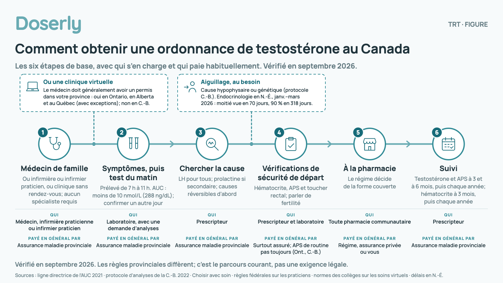 Organigramme du parcours canadien habituel vers une ordonnance de testostérone en six étapes de base : consulter un médecin de famille ou une infirmière praticienne ou un infirmier praticien, symptômes et prise de sang du matin, recherche de la cause, vérifications de sécurité de départ, exécution à la pharmacie, suivi. Des voies parallèles montrent l’aiguillage et les soins virtuels.