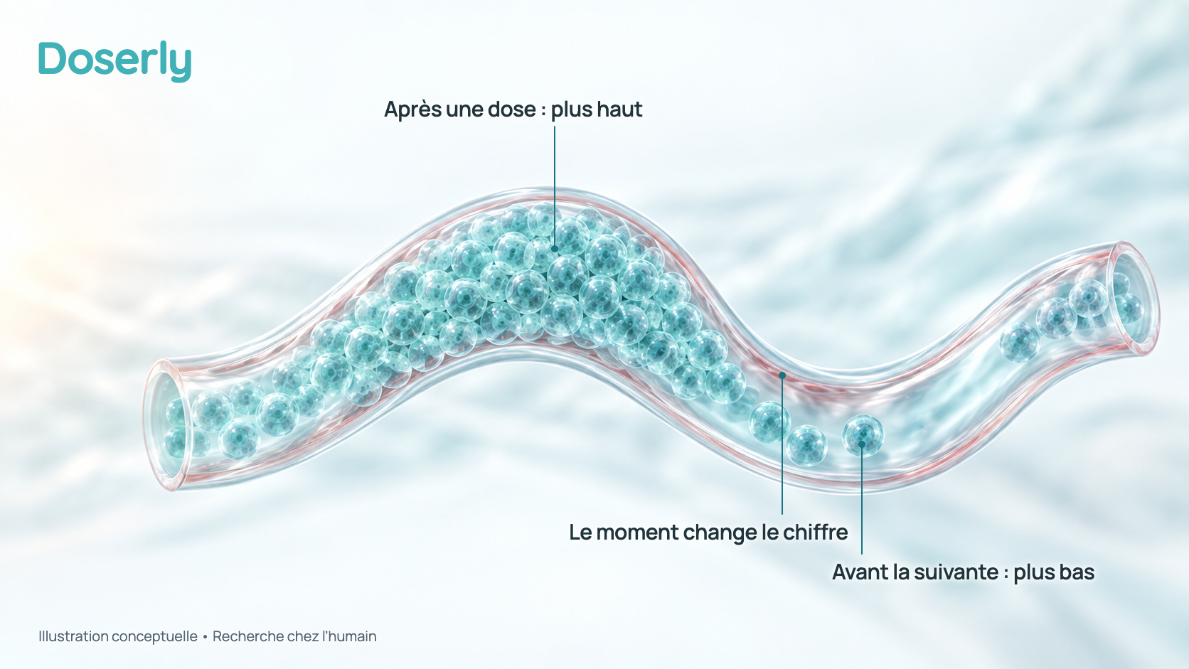Illustration conceptuelle d’un vaisseau sanguin translucide qui ondule sur la scène comme une vague douce, rempli de molécules de testostérone lumineuses à la crête et clairsemé dans le creux qui suit, avec une lueur douce de lever de soleil d’un côté. C’est un schéma, sans valeurs mesurées.