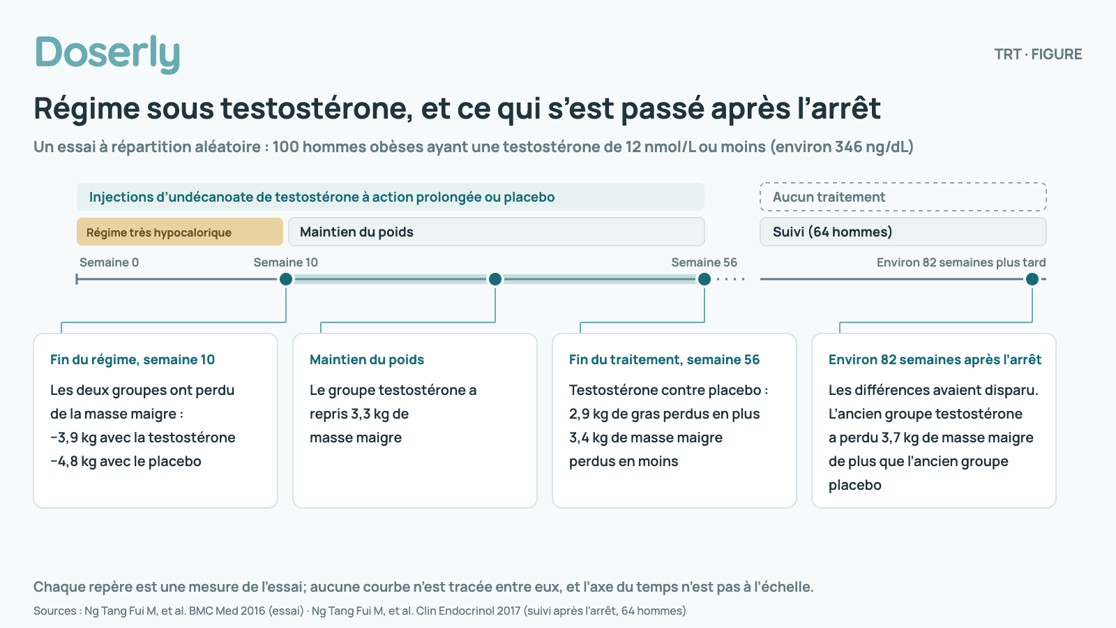 Chronologie d’un essai à répartition aléatoire chez 100 hommes obèses ayant une testostérone de 12 nmol/L ou moins, qui ont reçu des injections d’undécanoate de testostérone à action prolongée ou un placebo pendant 56 semaines : un régime très hypocalorique de 10 semaines, puis un maintien du poids, puis environ 82 semaines sans traitement. Semaines 0–10 : régime très hypocalorique : les deux groupes ont perdu de la masse maigre : −3,9 kg avec la testostérone, −4,8 kg avec le placebo. Semaines 10–56 : maintien du poids : le groupe testostérone a repris 3,3 kg de masse maigre. Semaine 56 : fin du traitement : testostérone contre placebo : 2,9 kg de gras perdus en plus et 3,4 kg de masse maigre perdus en moins. Environ 82 semaines après l’arrêt (64 hommes) : les différences avaient disparu. L’ancien groupe testostérone a perdu 3,7 kg de masse maigre de plus que l’ancien groupe placebo pendant la période sans traitement. Chaque repère est une mesure de l’essai; aucune courbe n’est tracée entre eux.