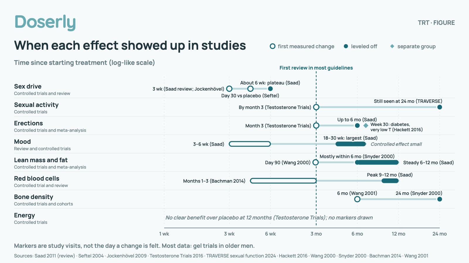 Timeline chart on a log-like scale from 1 week to 24 months showing, for each effect of testosterone therapy, the first study visit at which a change was measured and when it leveled off, with a dashed line at 3 months where most guidelines first review. Sex drive (controlled trials and review): 3 wk (Saad review; Jockenhövel); Day 30 vs placebo (Seftel); About 6 wk: plateau (Saad). Sexual activity (controlled trials): By month 3 (Testosterone Trials); Still seen at 24 mo (TRAVERSE). Erections (controlled trials and meta-analysis): Month 3 (Testosterone Trials); Up to 6 mo (Saad); Week 30: diabetes, very low T (Hackett 2016). Mood (review and controlled trials): 3–6 wk (Saad); 18–30 wk: largest (Saad); Controlled effect small. Lean mass and fat (controlled trials and meta-analysis): Day 90 (Wang 2000); Mostly within 6 mo (Snyder 2000); Steady 6–12 mo (Saad). Red blood cells (controlled trial and review): Months 1–3 (Bachman 2014); Peak 9–12 mo (Saad). Bone density (controlled trials and cohorts): 6 mo (Wang 2001); 24 mo (Snyder 2000). Energy (controlled trials): No clear benefit over placebo at 12 months (Testosterone Trials). Markers are study visits, not the day a change is felt. Most data: gel trials in older men.
