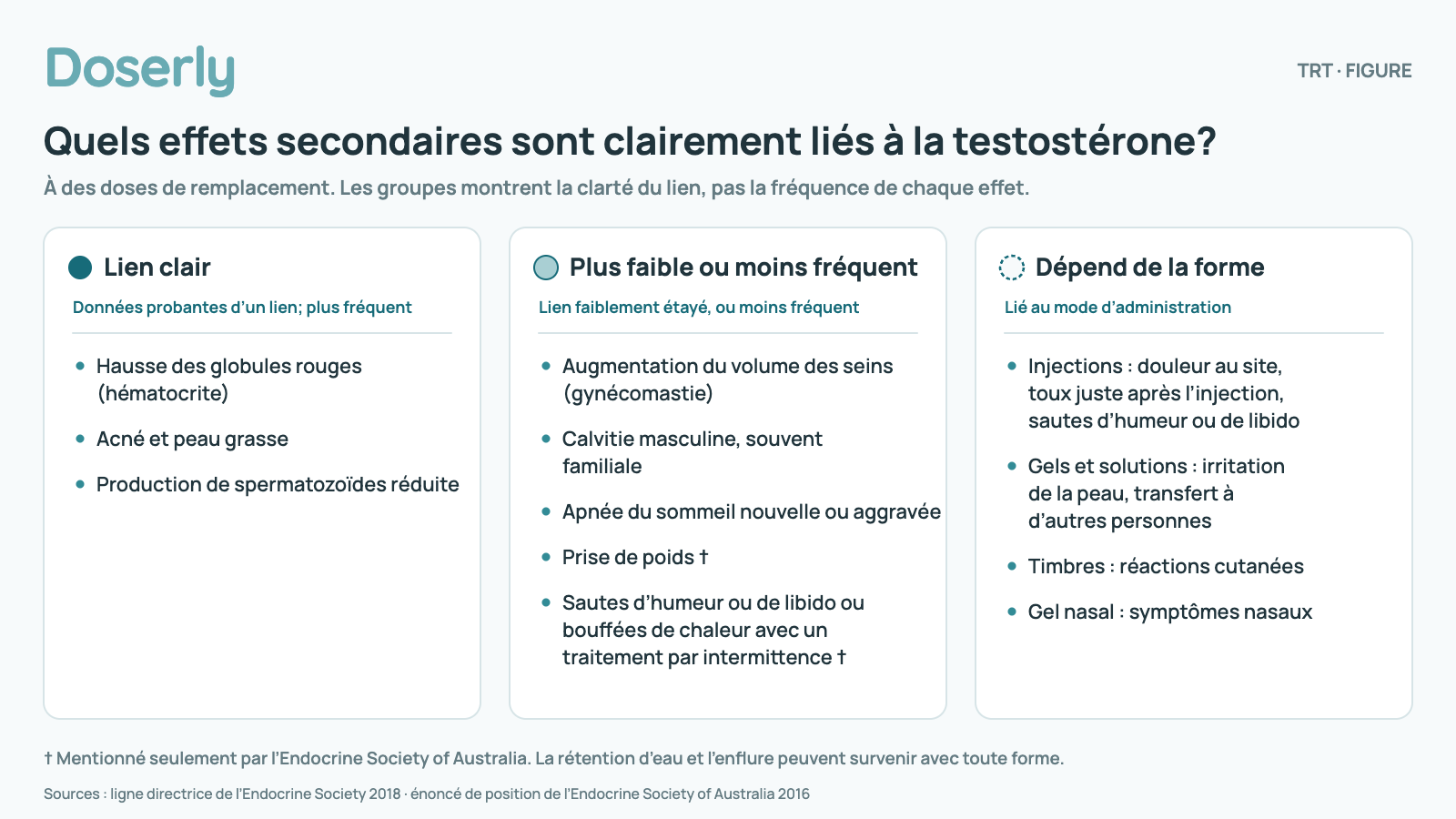 Diagramme en trois colonnes qui regroupe les effets secondaires de la TRT selon la solidité des données probantes, à des doses de remplacement; il montre la clarté de chaque lien, pas la fréquence des effets. Lien clair (données probantes d’un lien; plus fréquent) : hausse des globules rouges (hématocrite); acné et peau grasse; production de spermatozoïdes réduite. Plus faible ou moins fréquent (données probantes faibles d’un lien, ou moins fréquent) : augmentation du volume des seins (gynécomastie); calvitie masculine, souvent familiale; apnée du sommeil nouvelle ou aggravée; prise de poids (Endocrine Society of Australia seulement); sautes d’humeur ou de libido ou bouffées de chaleur avec un traitement par intermittence (Endocrine Society of Australia seulement). Dépend de la forme (lié à la façon dont la testostérone est administrée) : injections : douleur au site, toux juste après l’injection, sautes d’humeur ou de libido; gels et solutions : irritation de la peau, transfert à d’autres personnes; timbres : réactions cutanées; gel nasal : symptômes nasaux. La rétention d’eau et l’enflure peuvent survenir avec toute forme. Regroupement tiré de la ligne directrice de 2018 de l’Endocrine Society et de l’énoncé de position de 2016 de l’Endocrine Society of Australia.