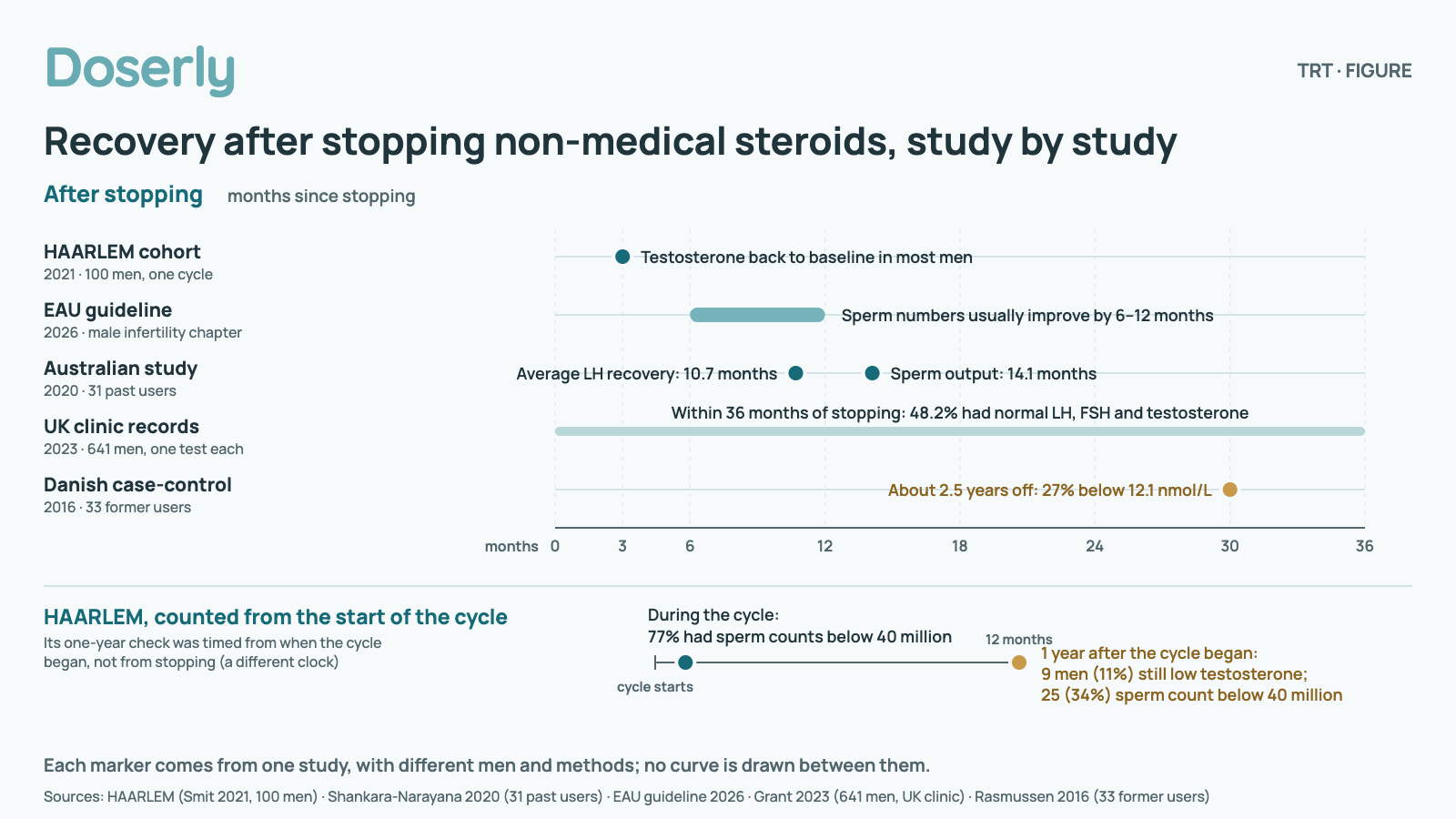 Timeline of recovery after stopping non-medical steroids, each marker from one study, in months since stopping: About 3 months, HAARLEM (2021, 100 men, one cycle): testosterone back to baseline in most men.; 6–12 months, EAU guideline (2026): sperm numbers usually improve over this time.; 10.7 months, Australian study (2020, 31 past users): average time for LH to recover.; 14.1 months, Same Australian study: average time for sperm output to recover.; Within 36 months, UK clinic records (2023, 641 men, one test each): 48.2% had normal LH, FSH and testosterone.; About 2.5 years, Danish case-control study (2016, 33 former users): 27% had testosterone below 12.1 nmol/L (about 350 ng/dL).. A second timeline counts HAARLEM from the start of the cycle: During the cycle, HAARLEM: 77% had a total sperm count below 40 million; 1 year after the cycle began, HAARLEM: 9 men (11% of those tested) still had low testosterone and 25 (34%) a sperm count below 40 million. No curve is drawn between markers.