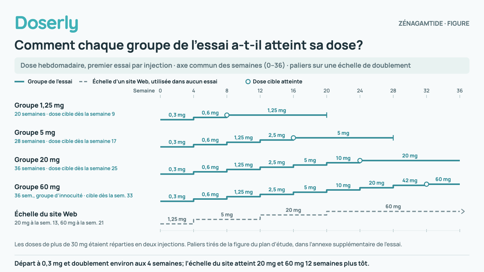 Cinq calendriers en paliers sur un même axe de 0 à 36 semaines, la hauteur des paliers suivant une échelle de doublement. Groupe de l’essai 1,25 mg (20 semaines) : 0,3 mg aux semaines 1–4; 0,6 mg aux semaines 5–8; 1,25 mg aux semaines 9–20. Groupe de l’essai 5 mg (28 semaines) : 0,3 mg aux semaines 1–4; 0,6 mg aux semaines 5–8; 1,25 mg aux semaines 9–12; 2,5 mg aux semaines 13–16; 5 mg aux semaines 17–28. Groupe de l’essai 20 mg (36 semaines) : 0,3 mg aux semaines 1–4; 0,6 mg aux semaines 5–8; 1,25 mg aux semaines 9–12; 2,5 mg aux semaines 13–16; 5 mg aux semaines 17–20; 10 mg aux semaines 21–24; 20 mg aux semaines 25–36. Groupe de l’essai 60 mg (36 semaines, groupe d’innocuité) : 0,3 mg aux semaines 1–4; 0,6 mg aux semaines 5–8; 1,25 mg aux semaines 9–12; 2,5 mg aux semaines 13–16; 5 mg aux semaines 17–20; 10 mg aux semaines 21–24; 20 mg aux semaines 25–28; 42 mg aux semaines 29–32; 60 mg aux semaines 33–36. Échelle d’un site Web (utilisée dans aucun essai) : 1,25 mg aux semaines 1–4; 5 mg aux semaines 5–12; 20 mg aux semaines 13–20; 60 mg à partir de la semaine 21. Chaque groupe de l’essai a commencé à 0,3 mg et a doublé environ toutes les 4 semaines; l’échelle du site Web atteint 20 mg à la semaine 13 et 60 mg à la semaine 21, 12 semaines plus tôt que les groupes de l’essai.